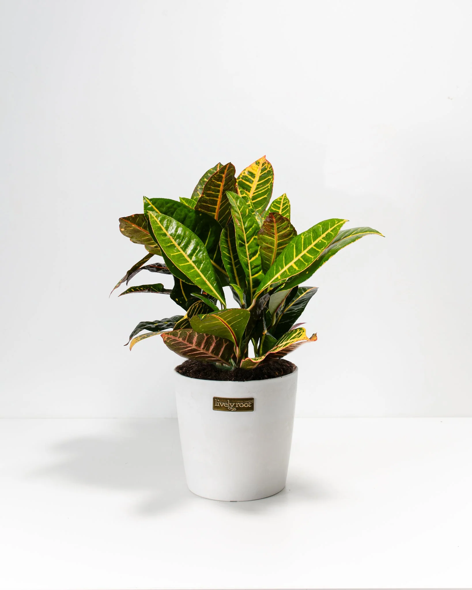 Product image 44