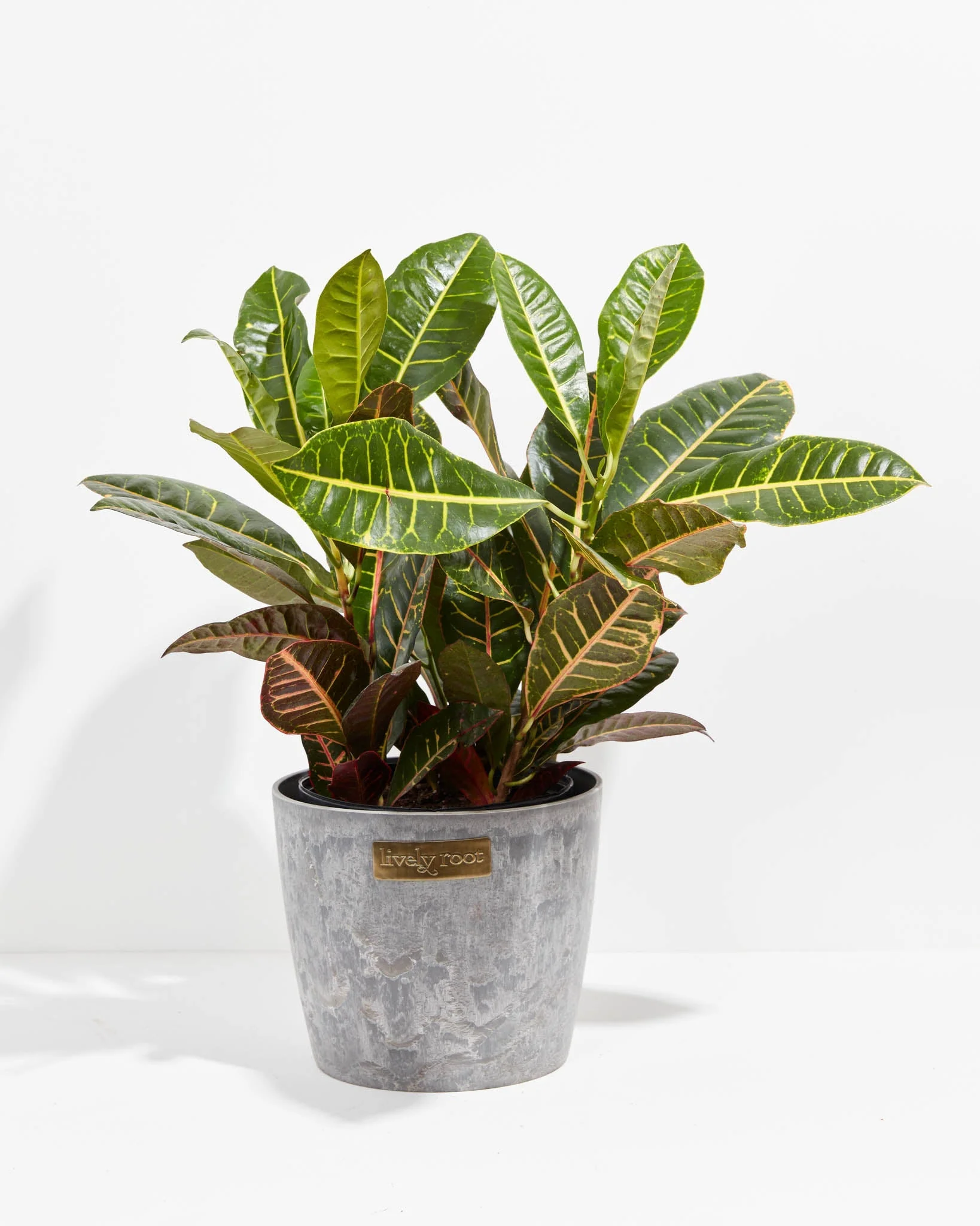 Product image 47
