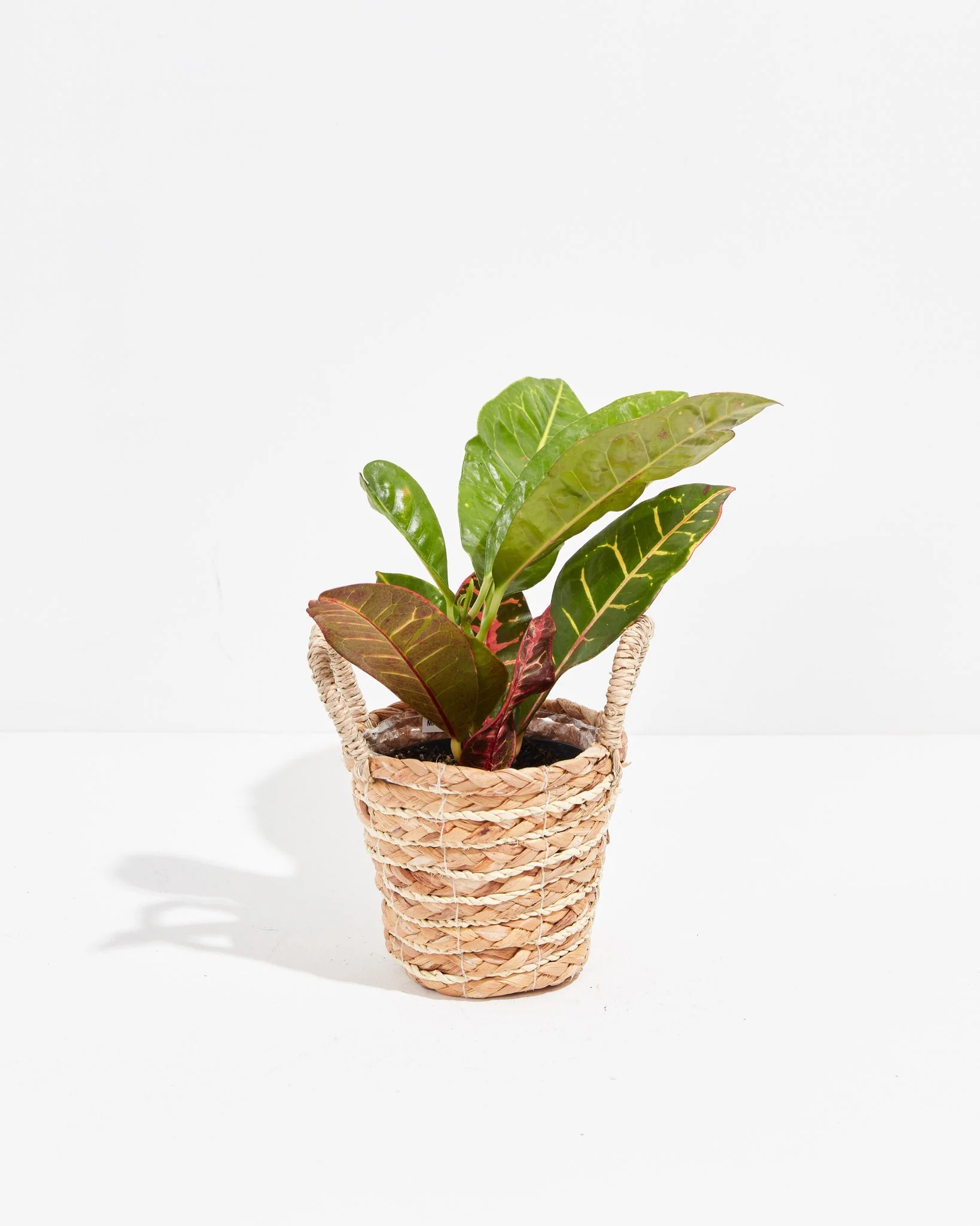 Product image 50
