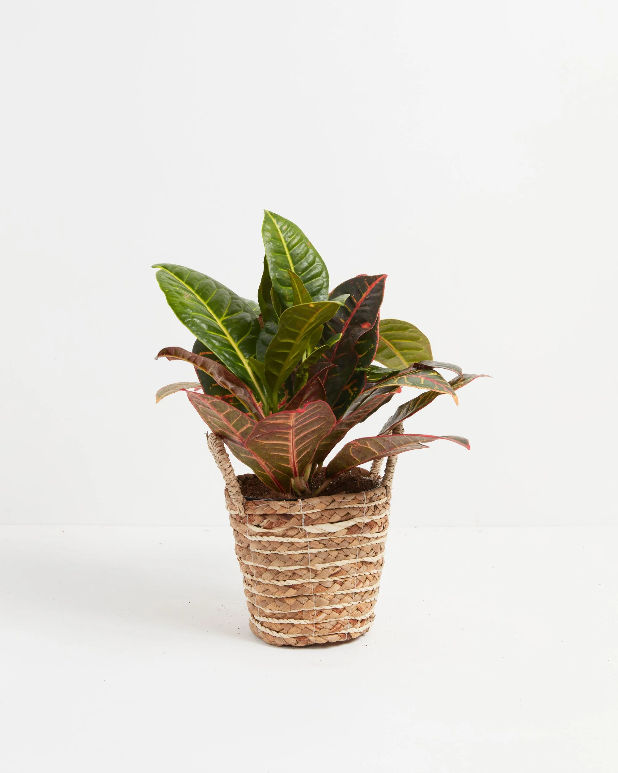 Product image 51