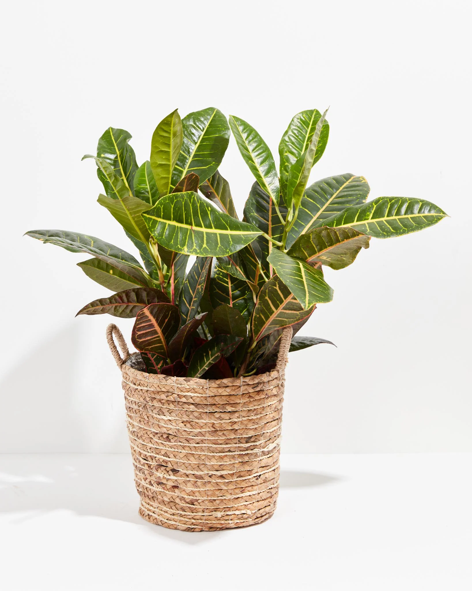 Product image 52