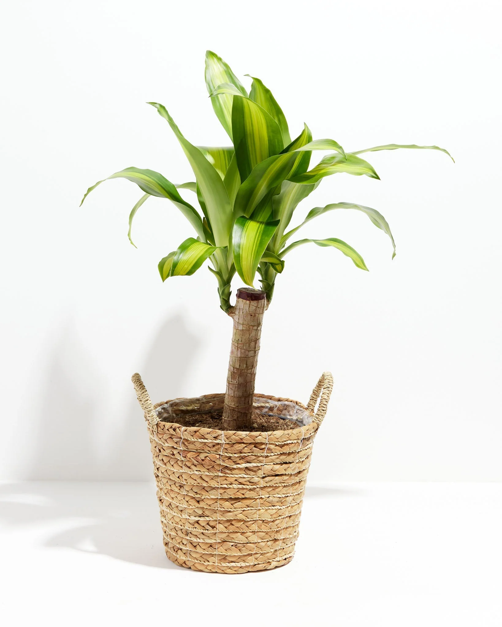 Product image 38