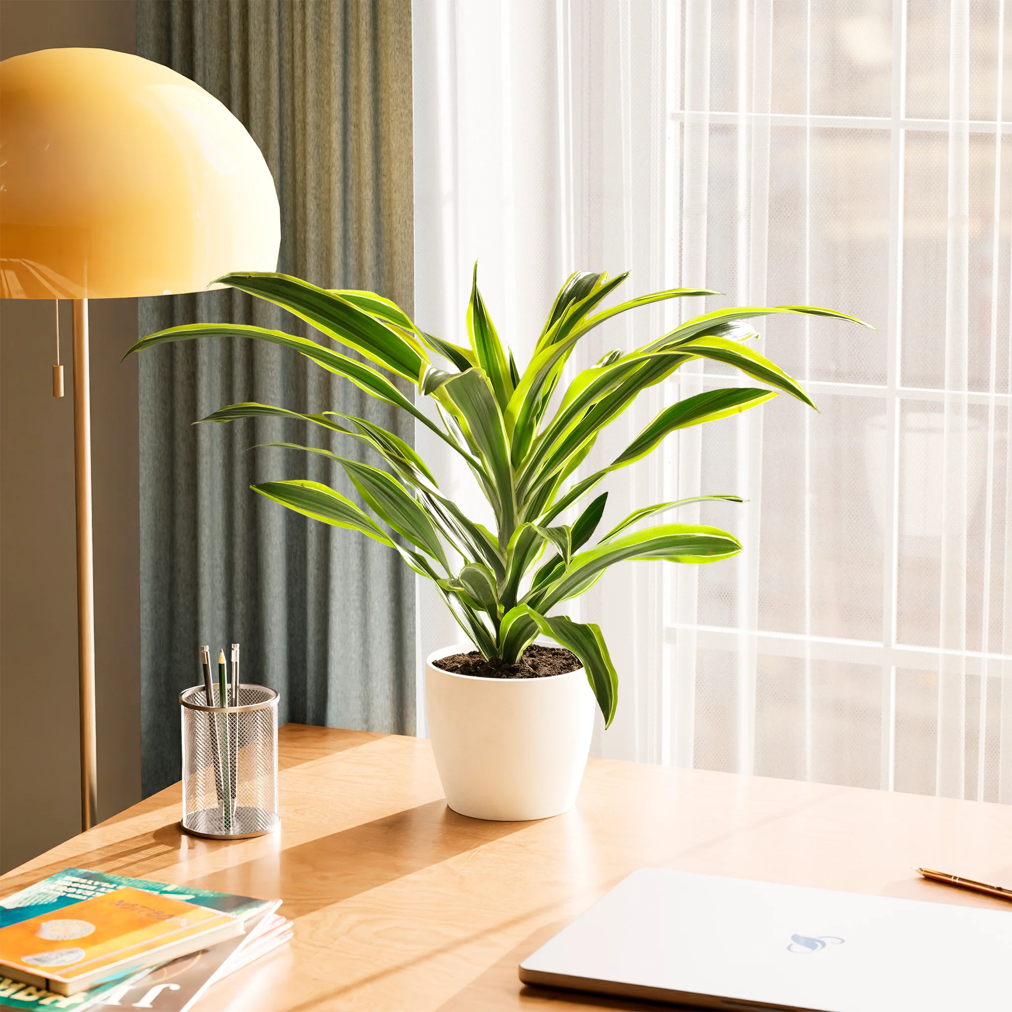 Product image 31