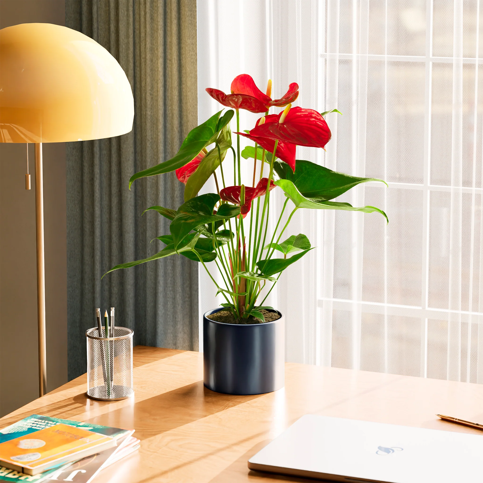 Product image 51