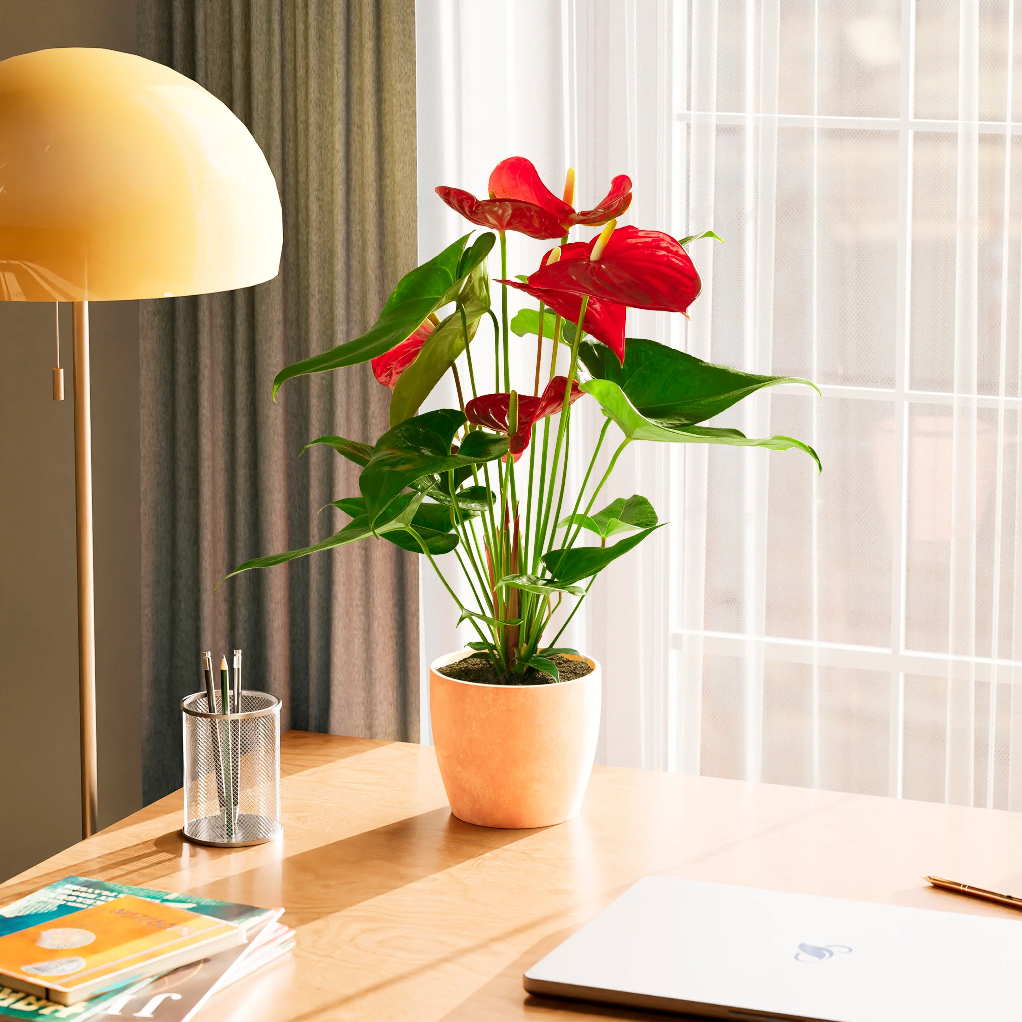 Product image 55