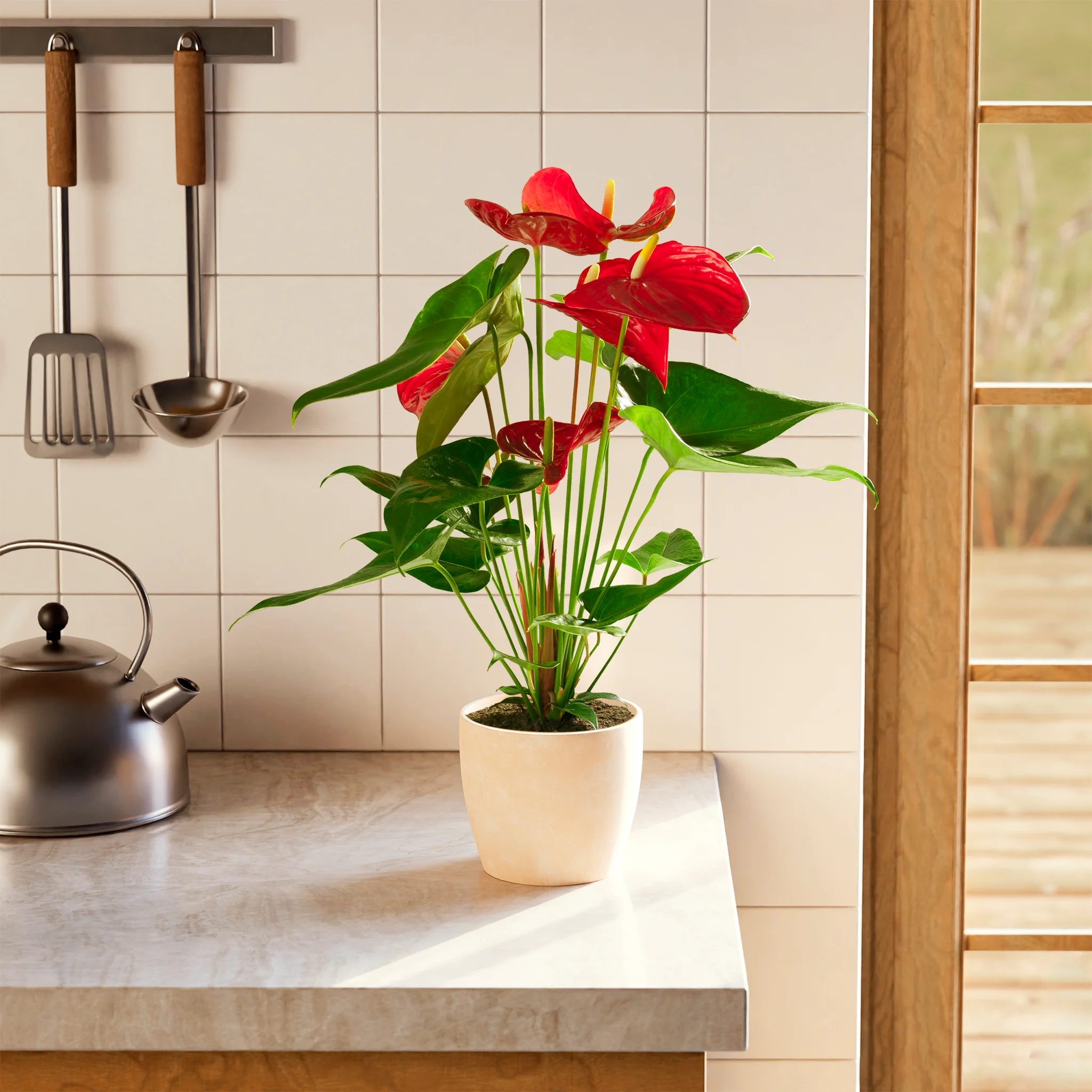 Product image 60