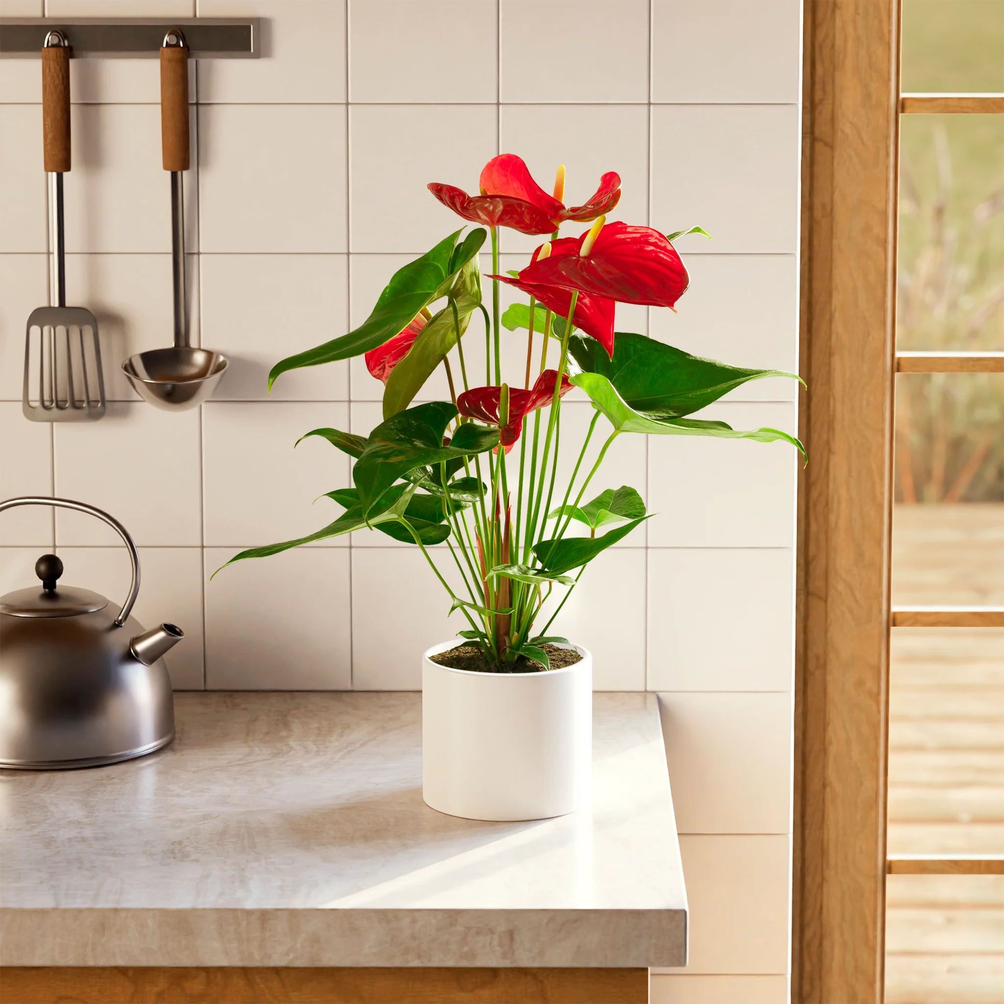 Product image 65