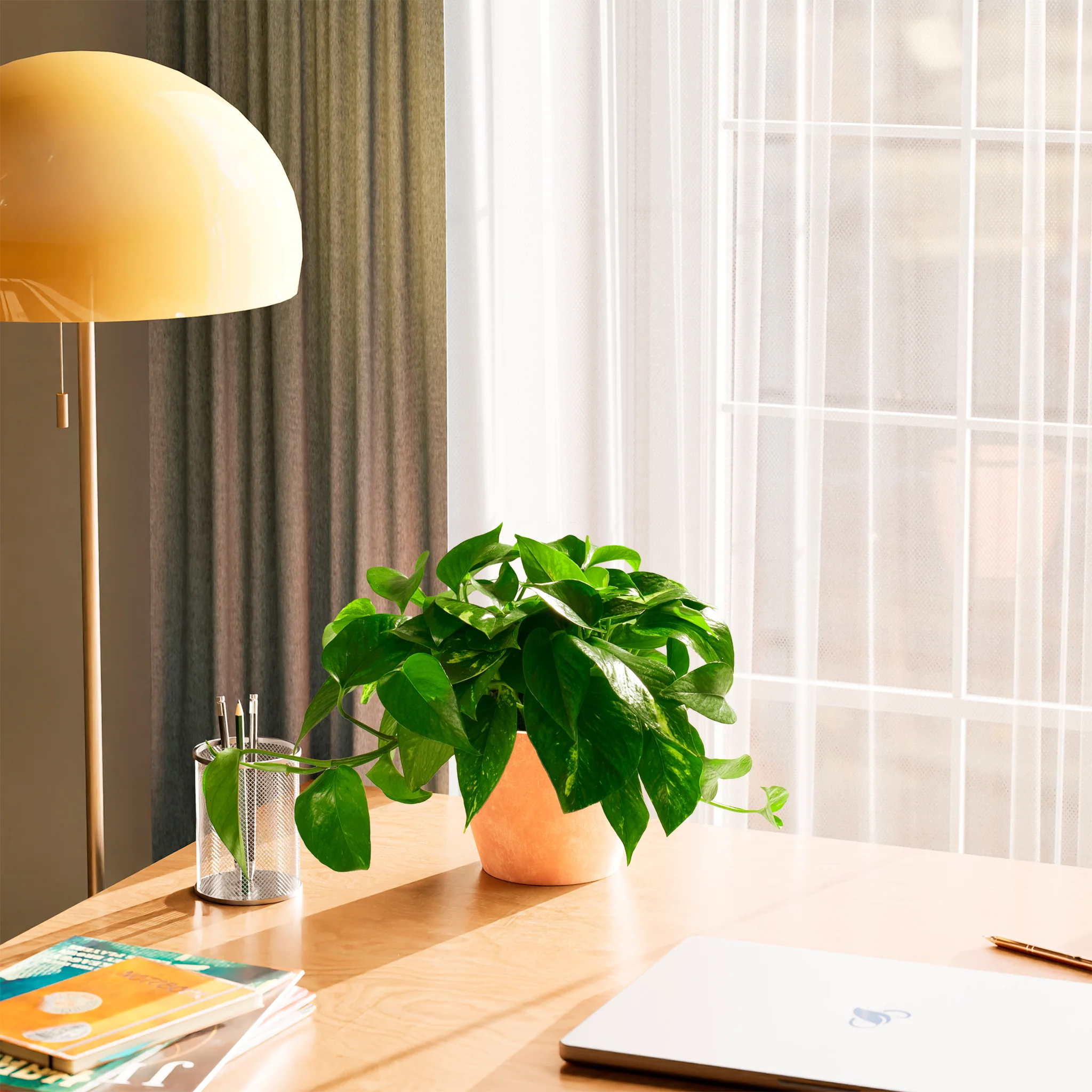 Product image 50