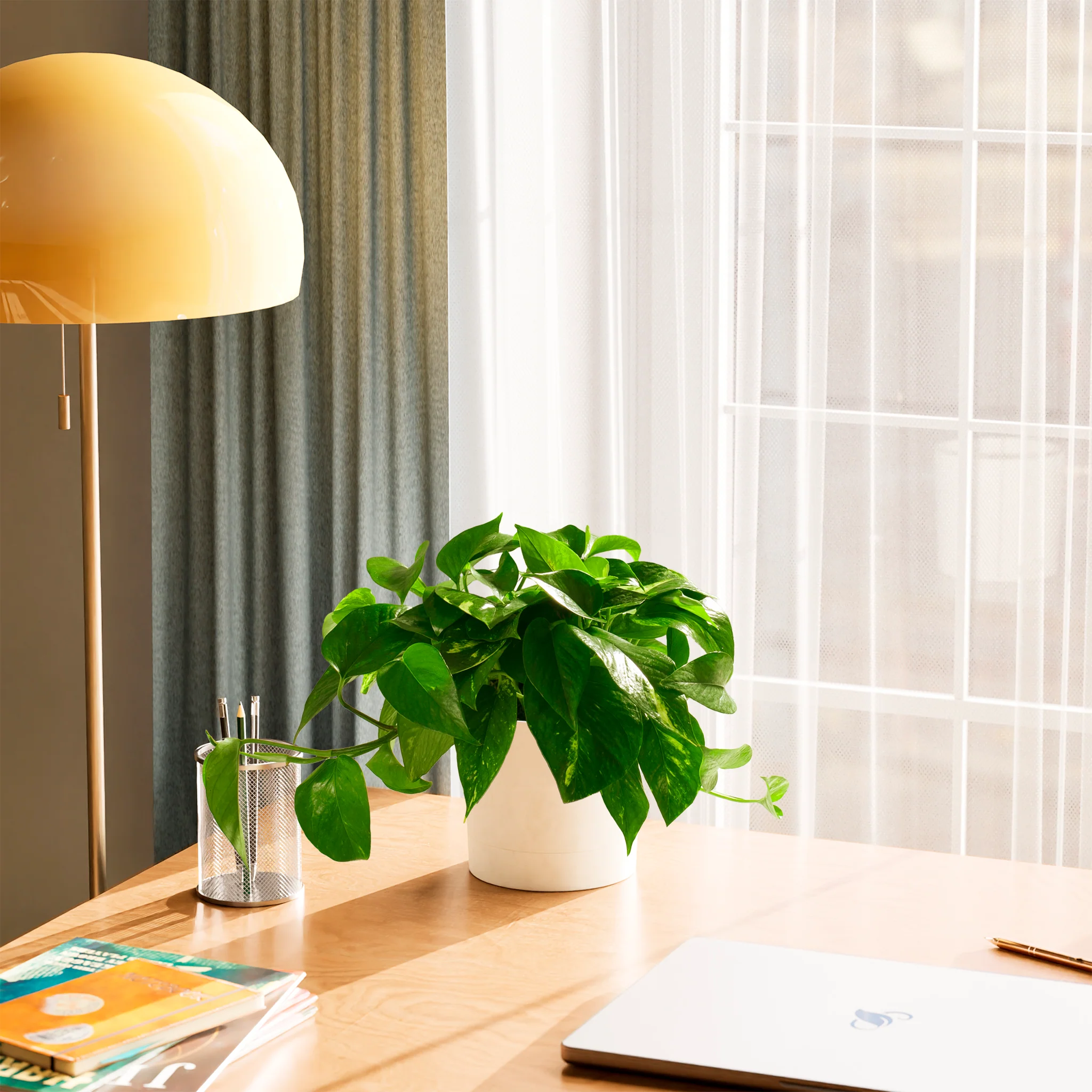 Product image 57