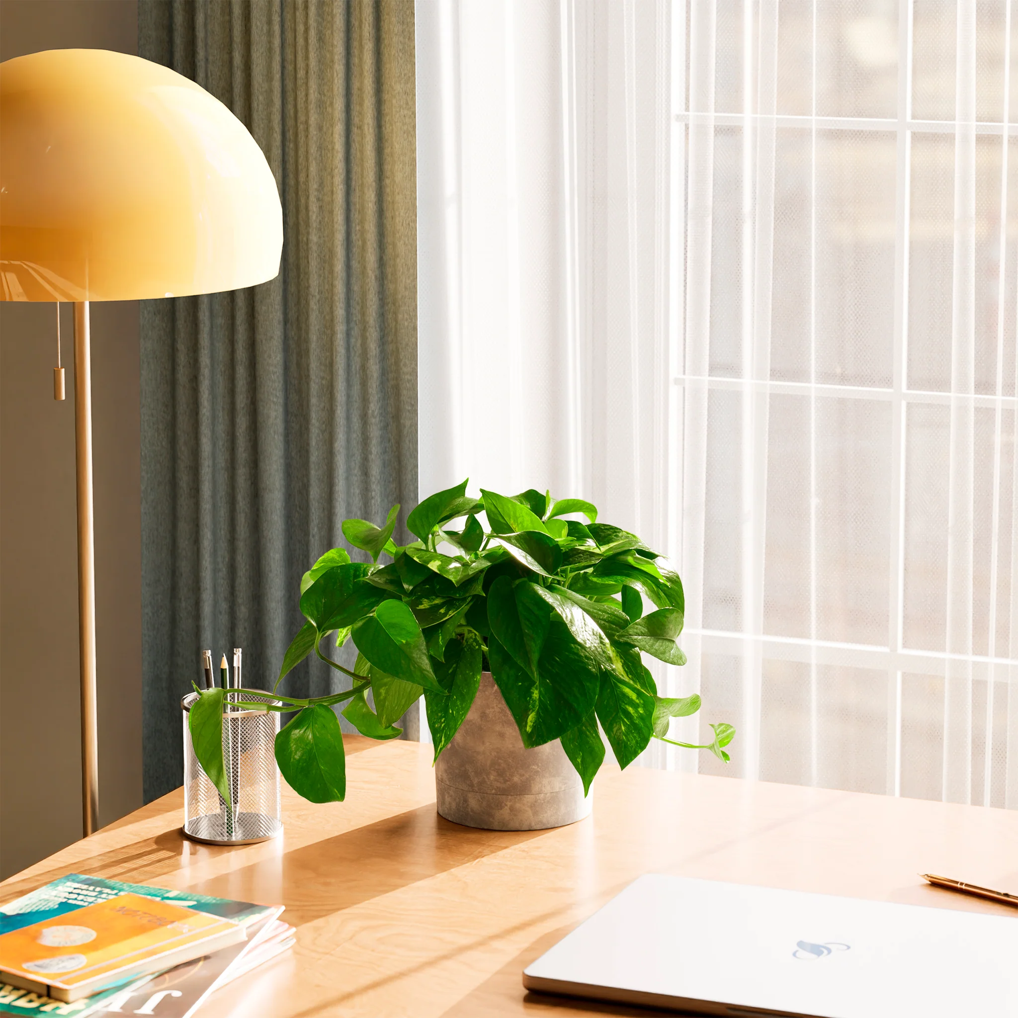 Product image 65