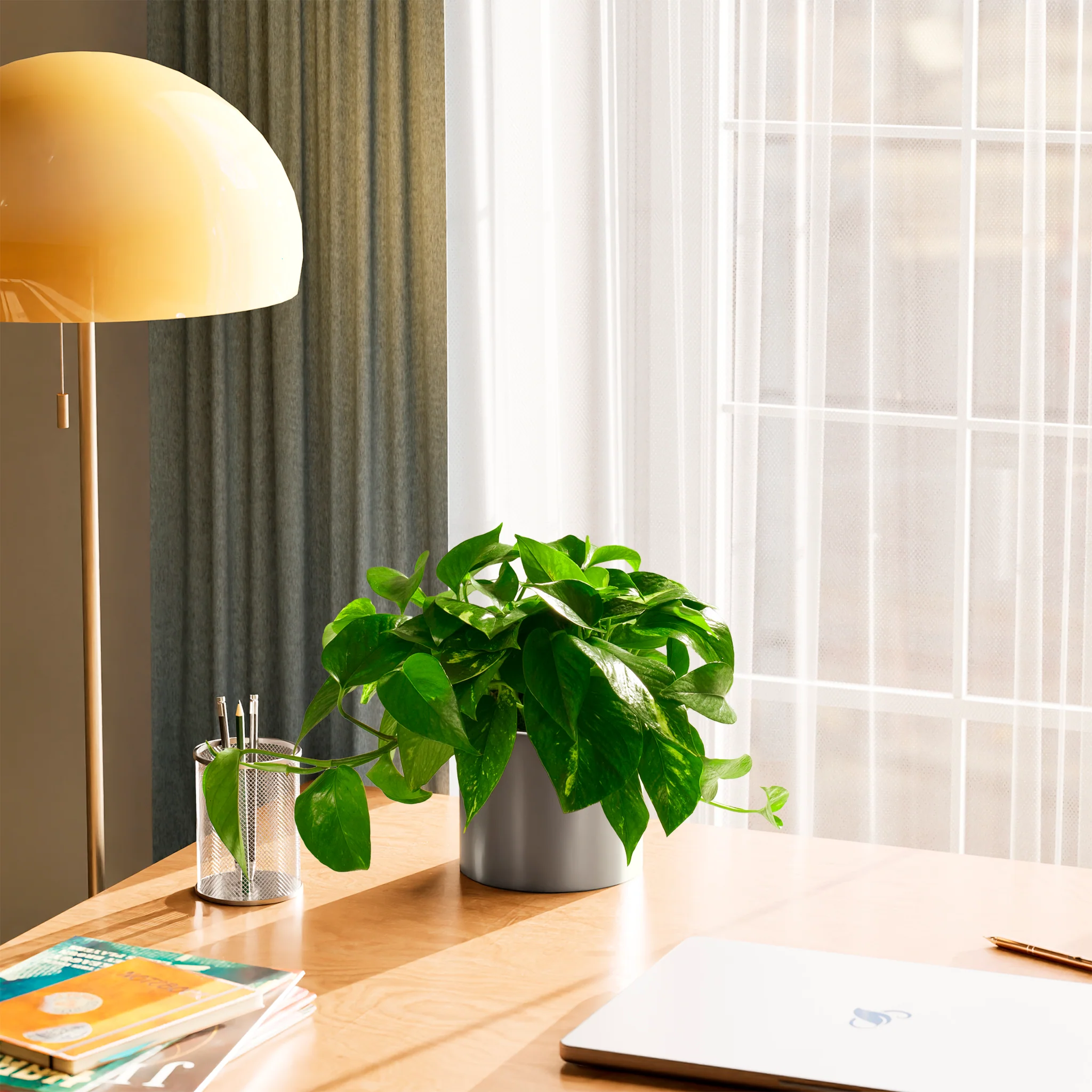 Product image 71
