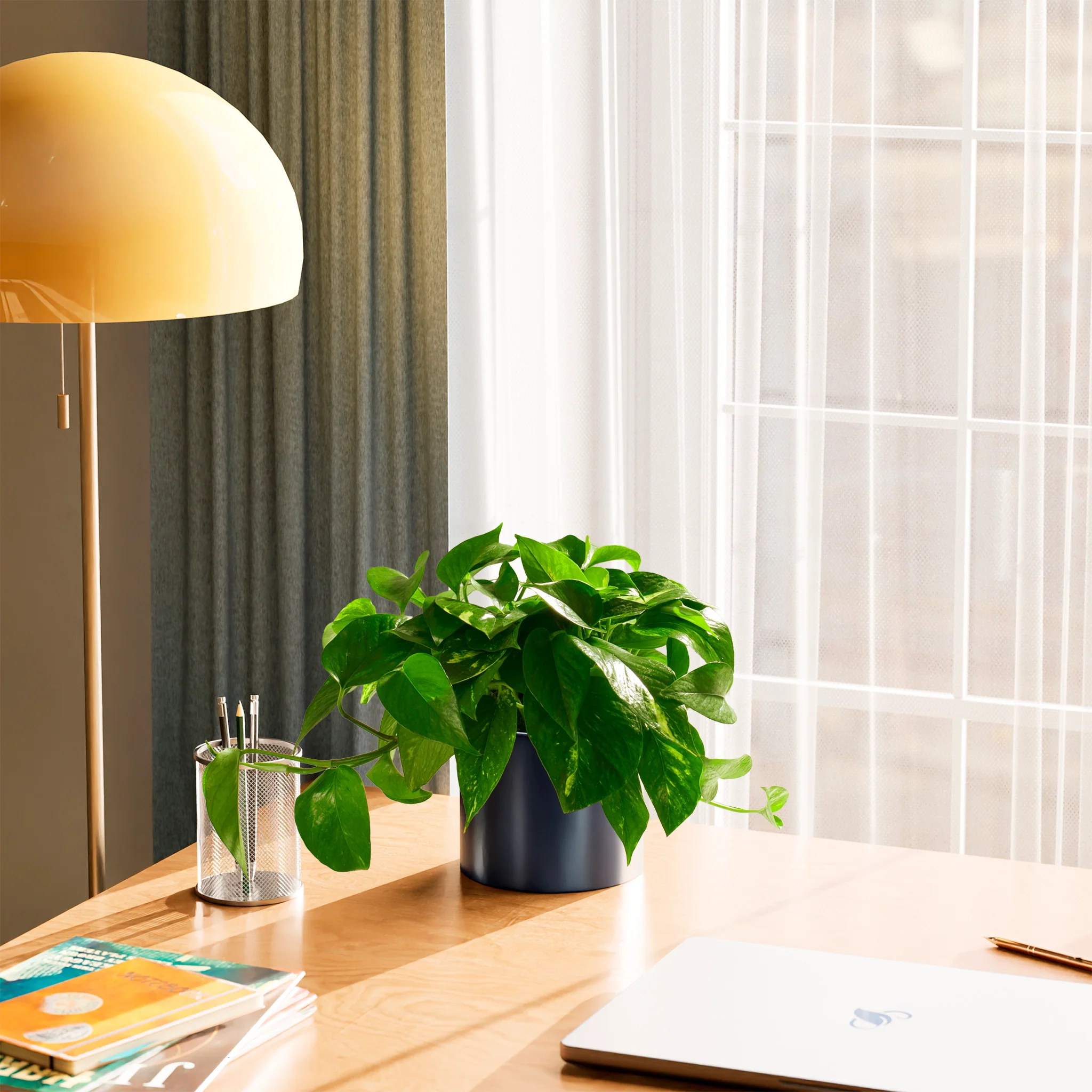 Product image 74