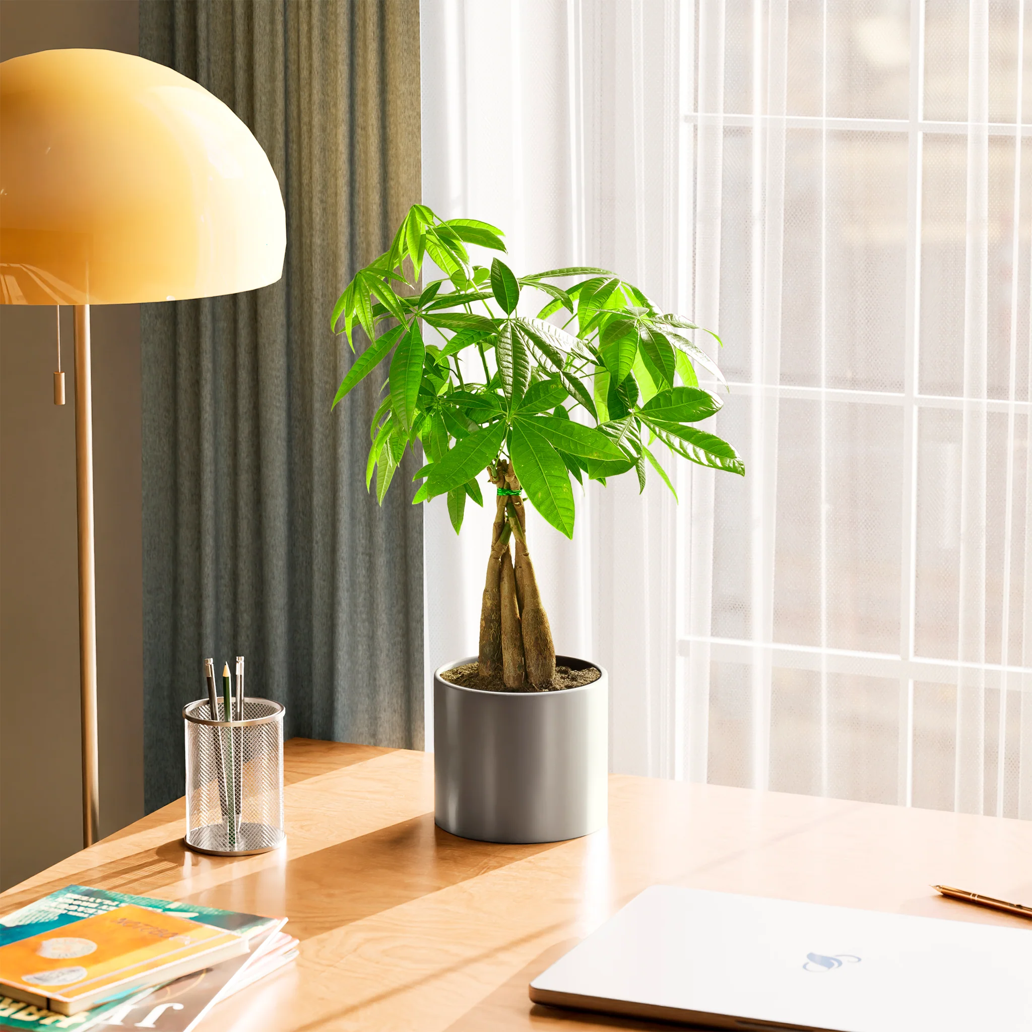 Product image 60