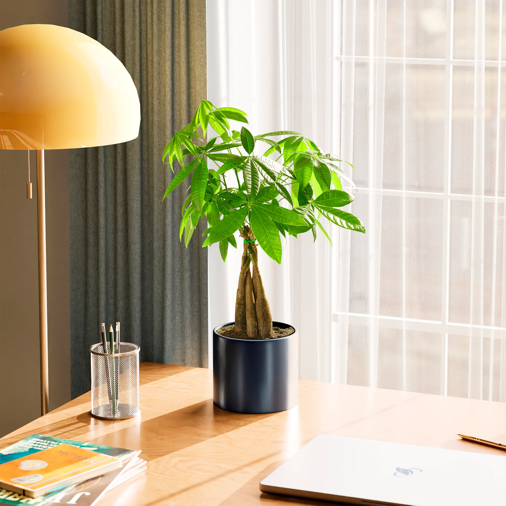 Product image 63