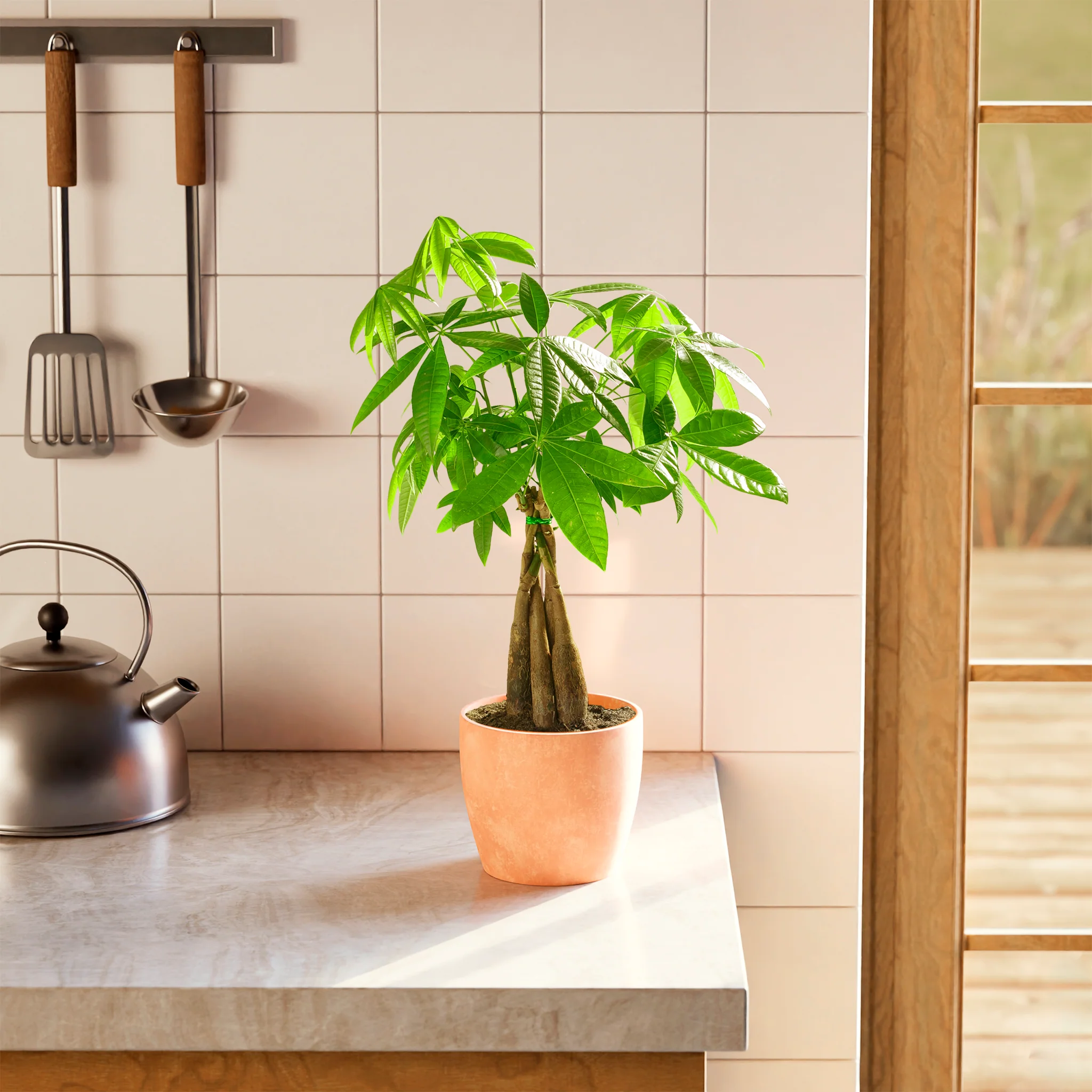 Product image 66