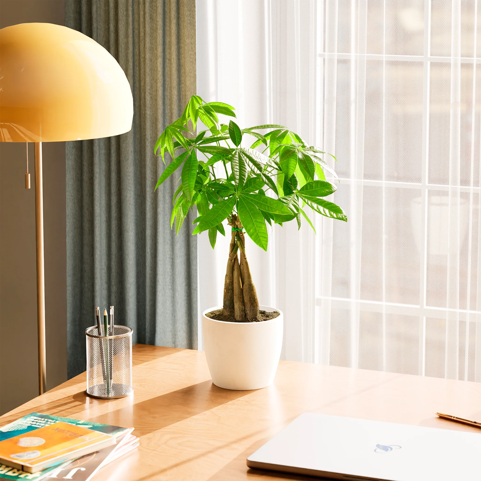 Product image 70