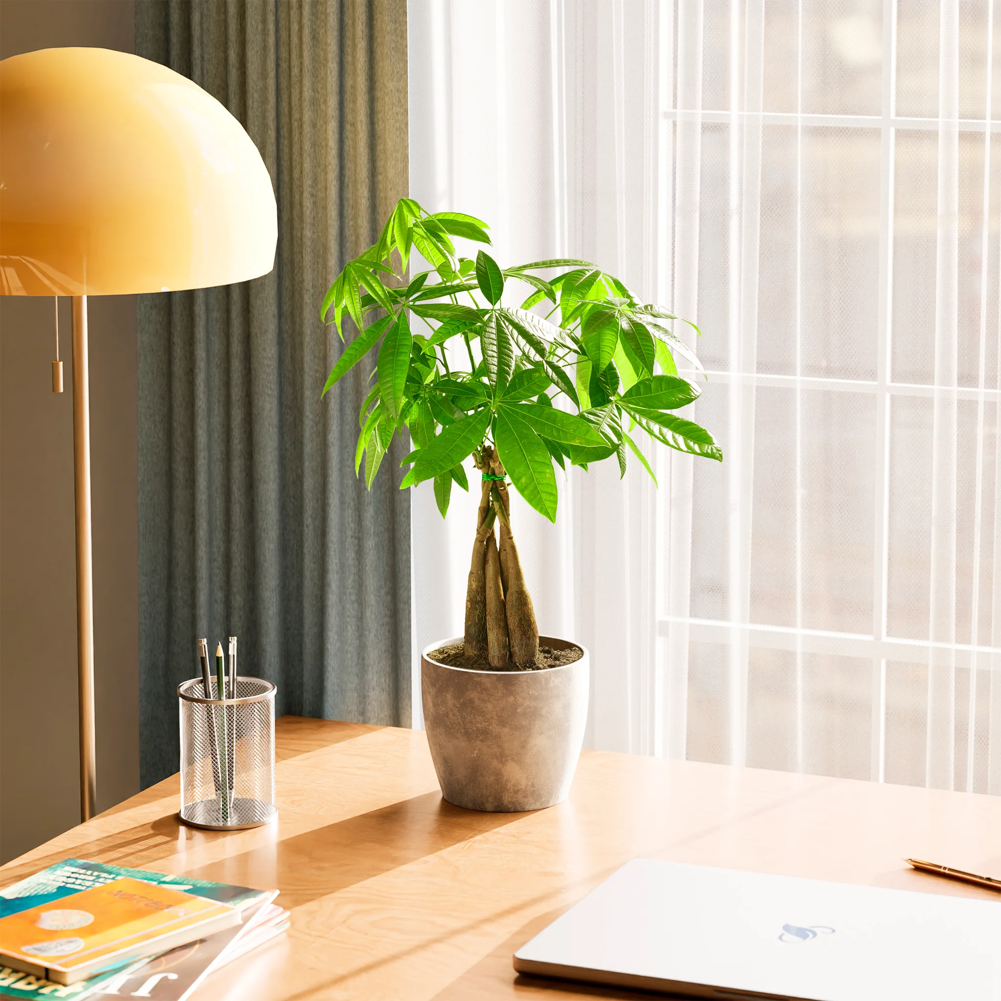 Product image 72