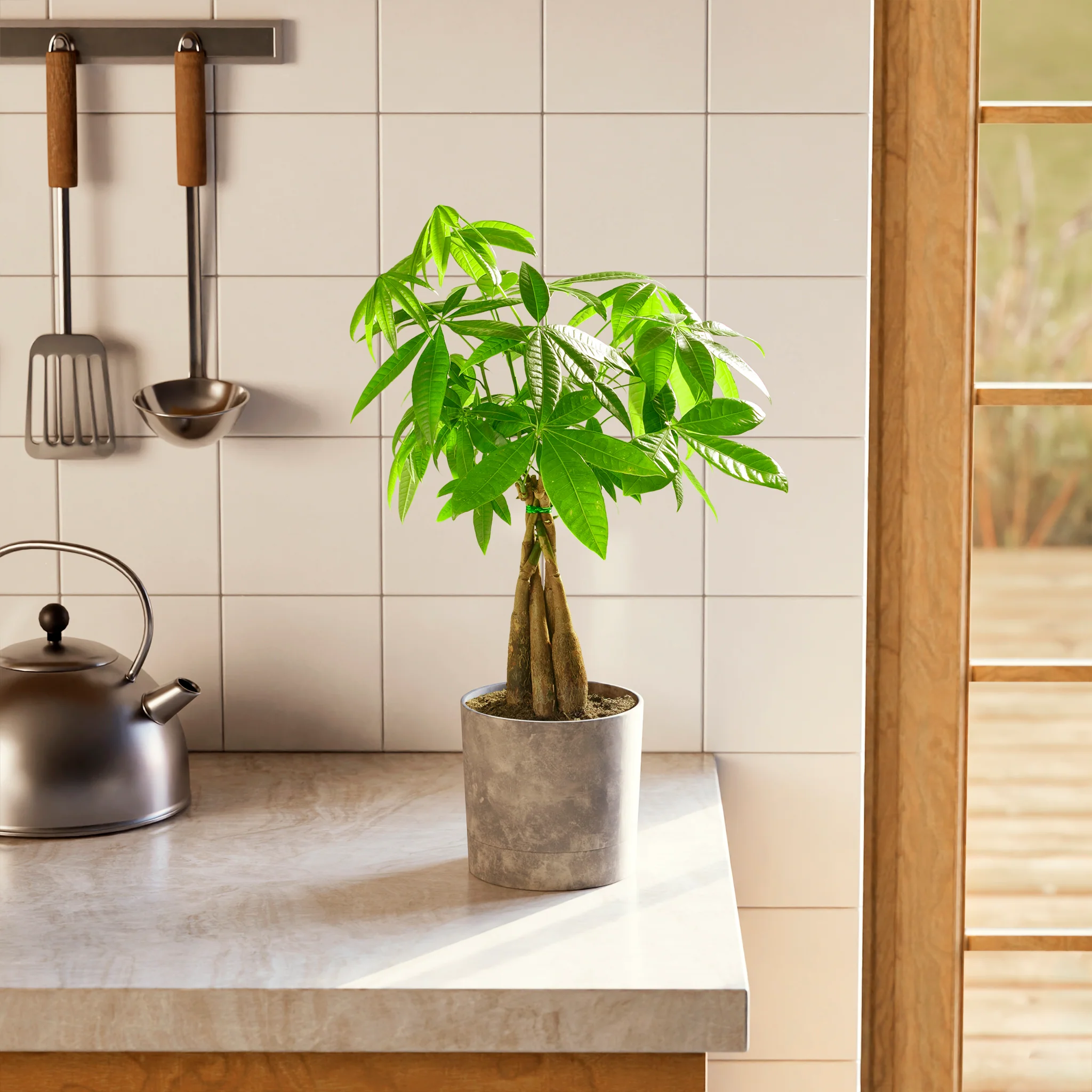 Product image 77