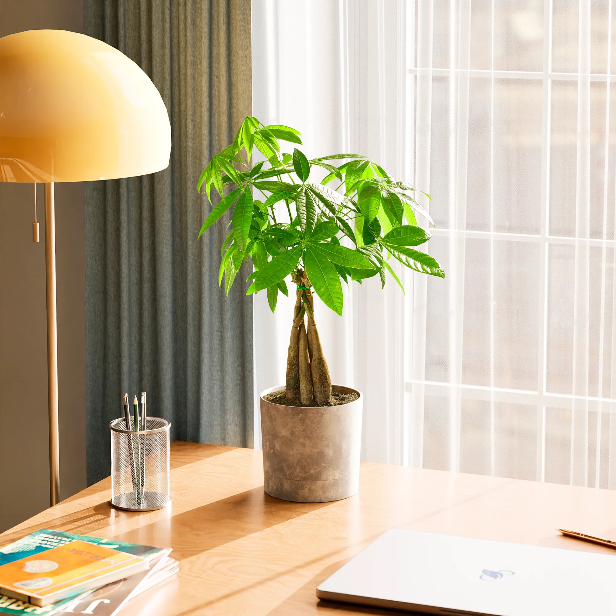 Product image 78
