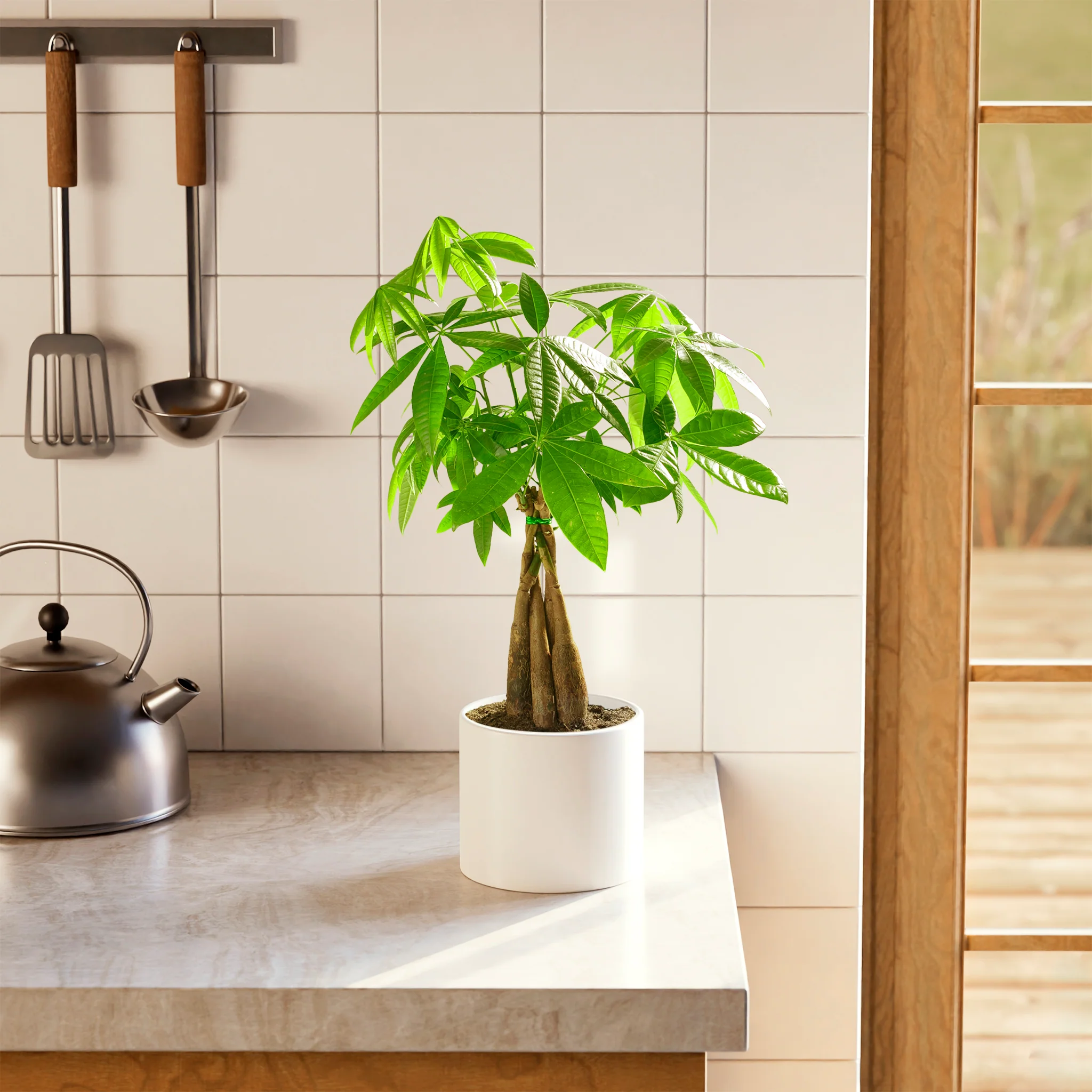 Product image 84