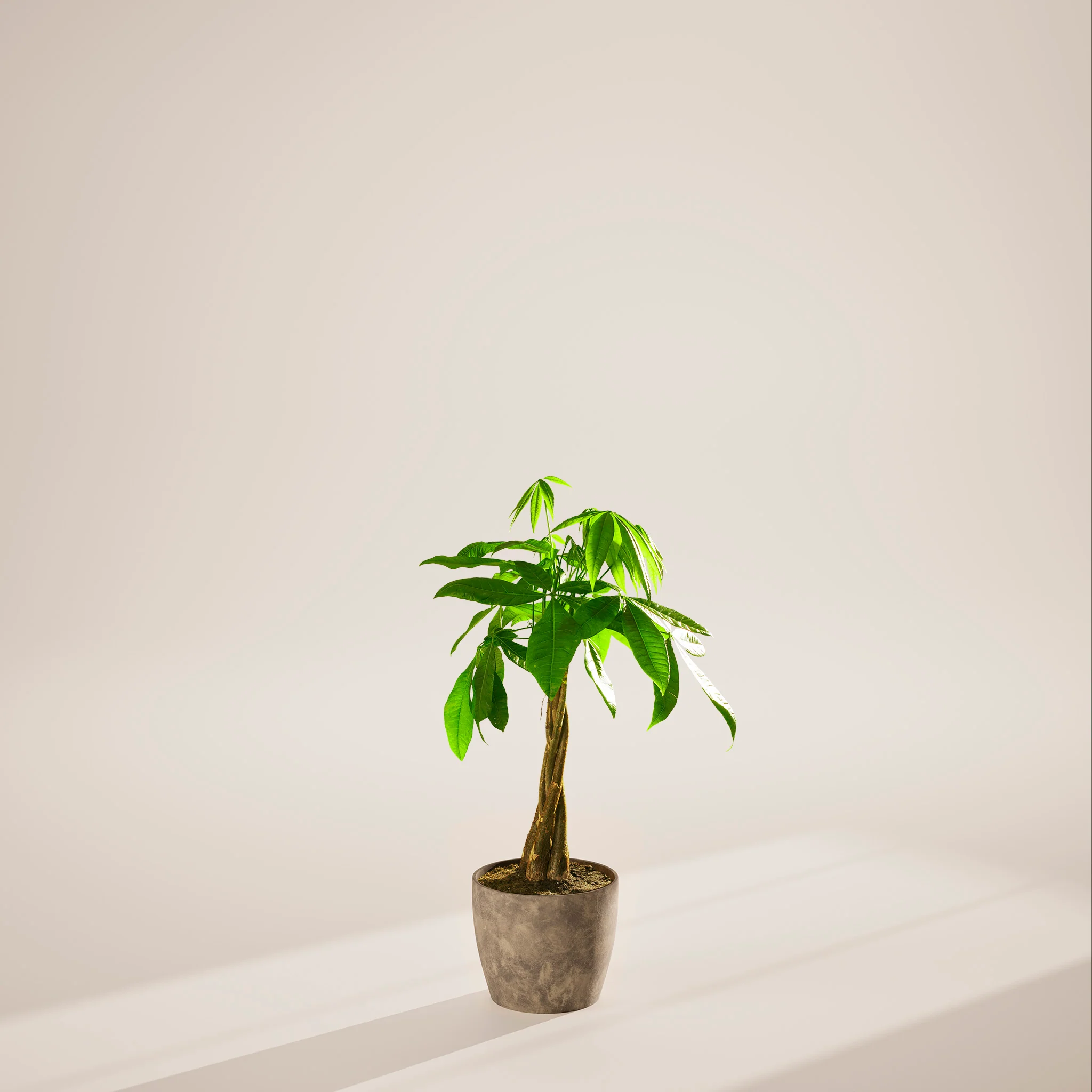 Product image 88