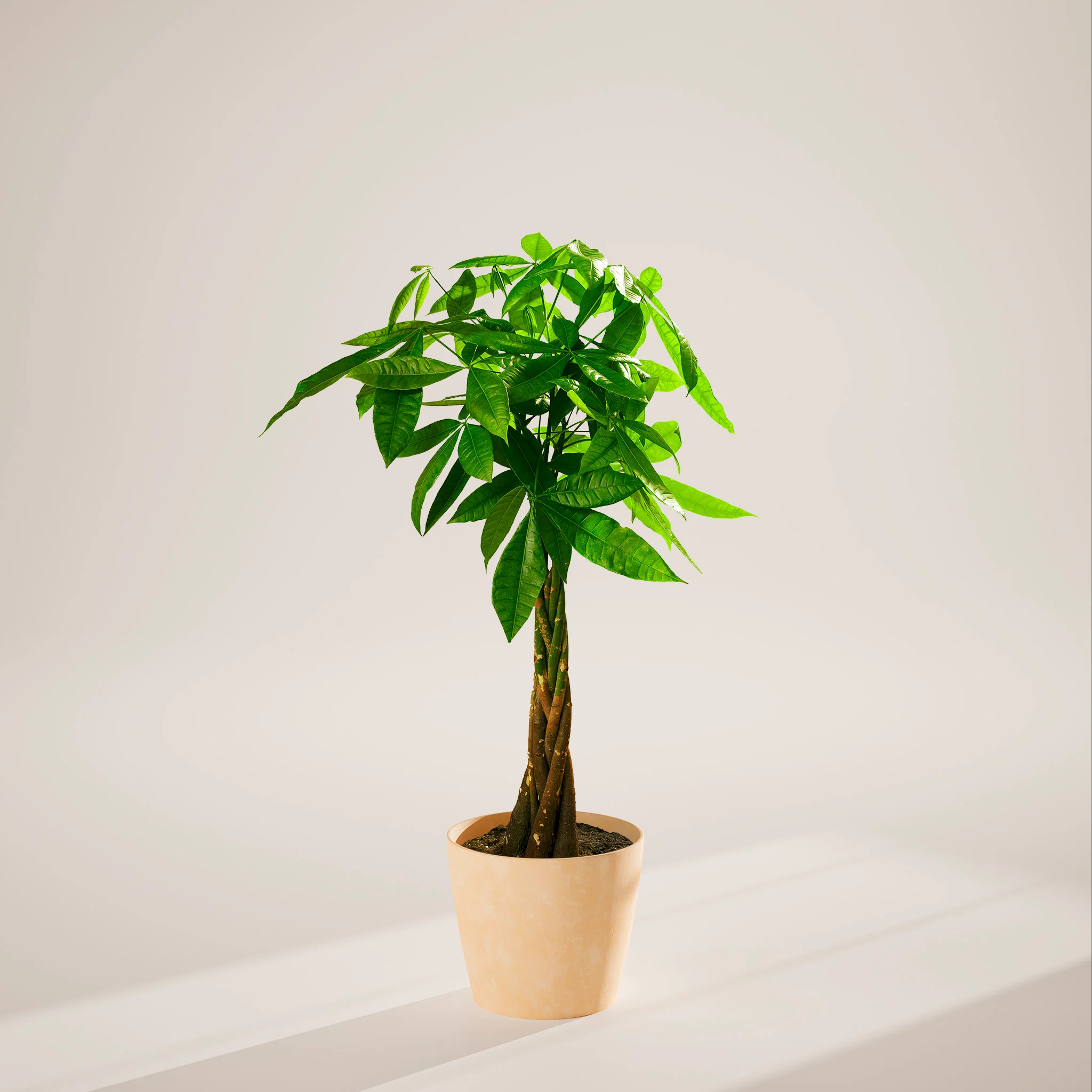 Product image 92
