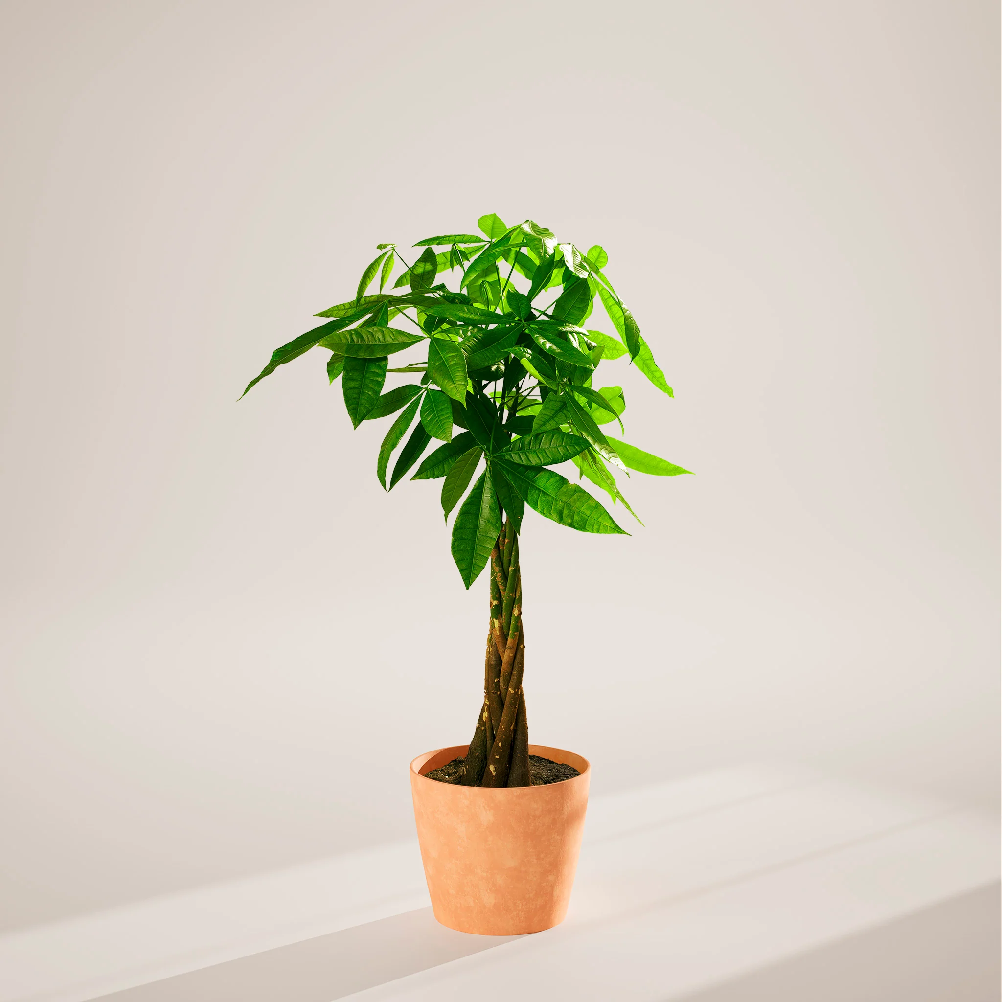 Product image 95