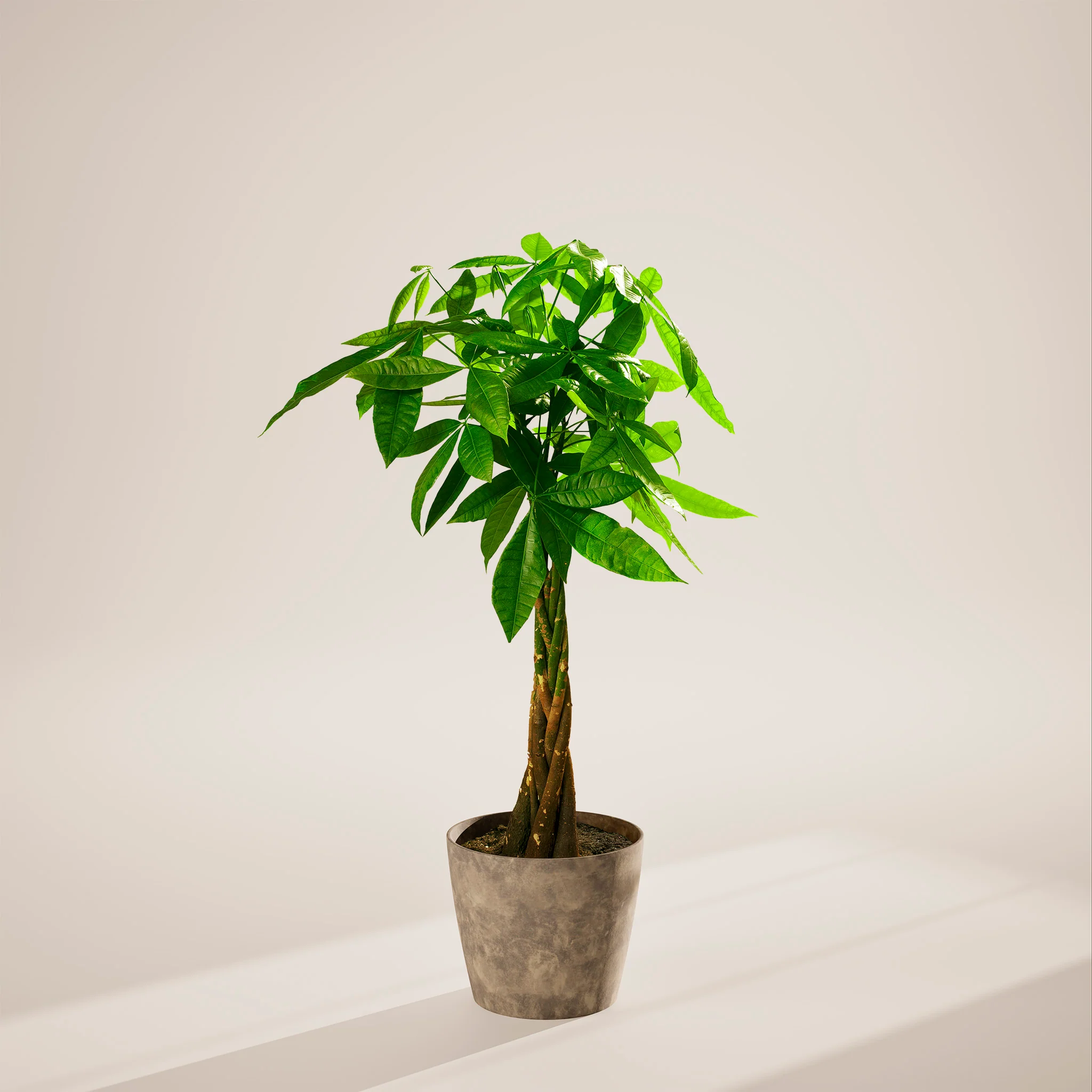 Product image 99