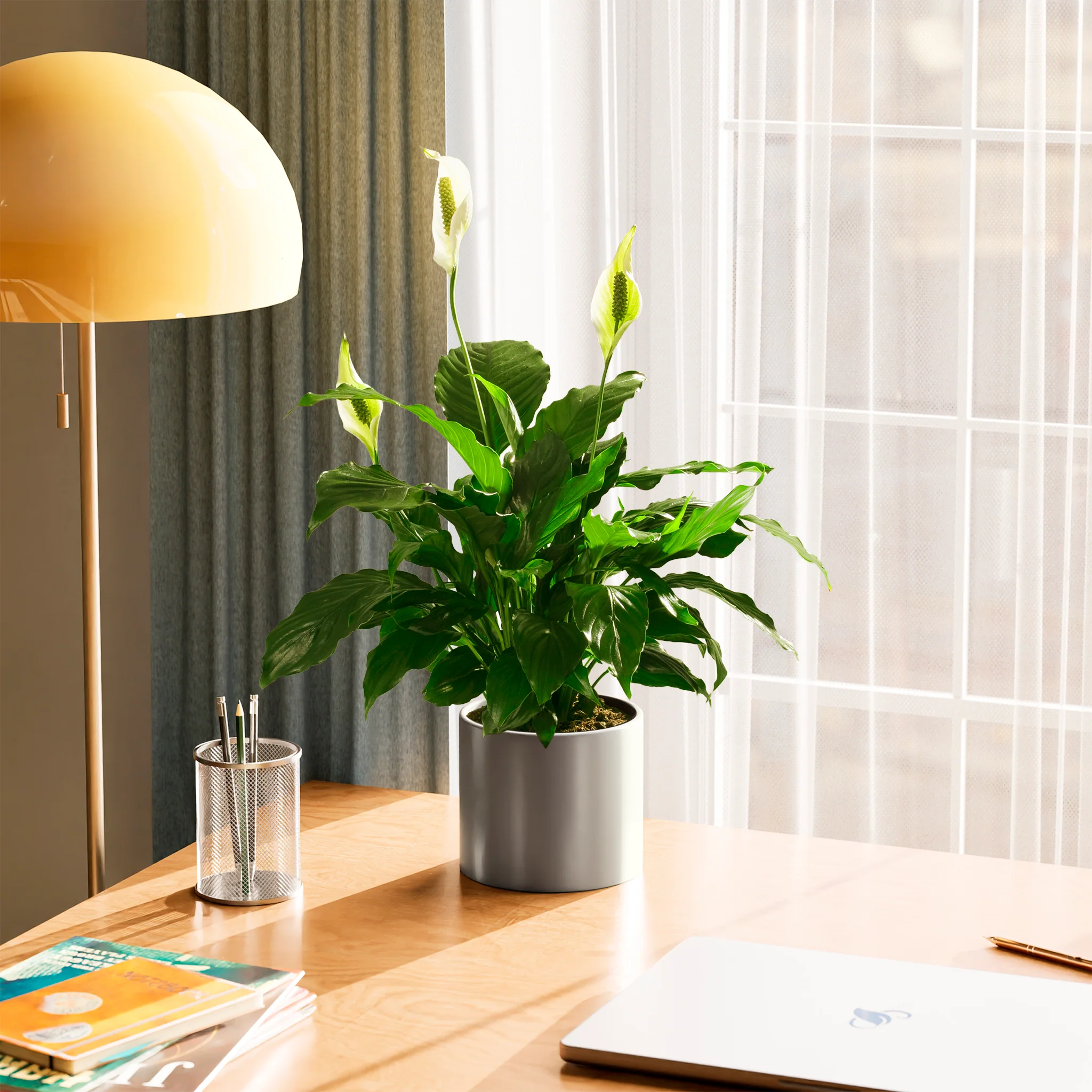 Product image 56