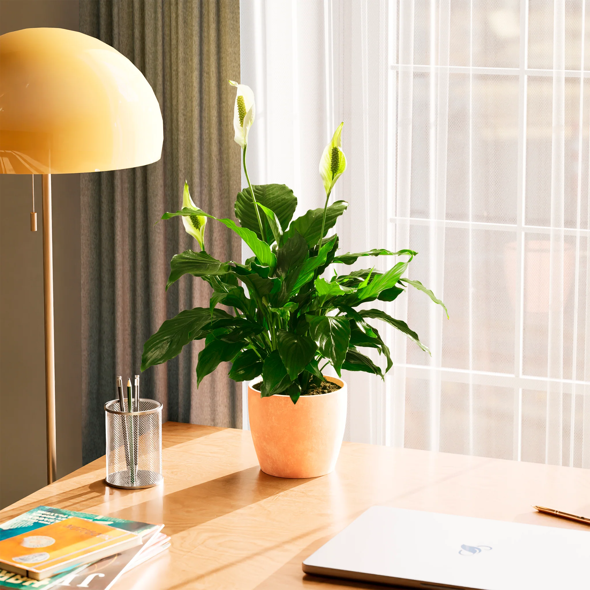 Product image 64
