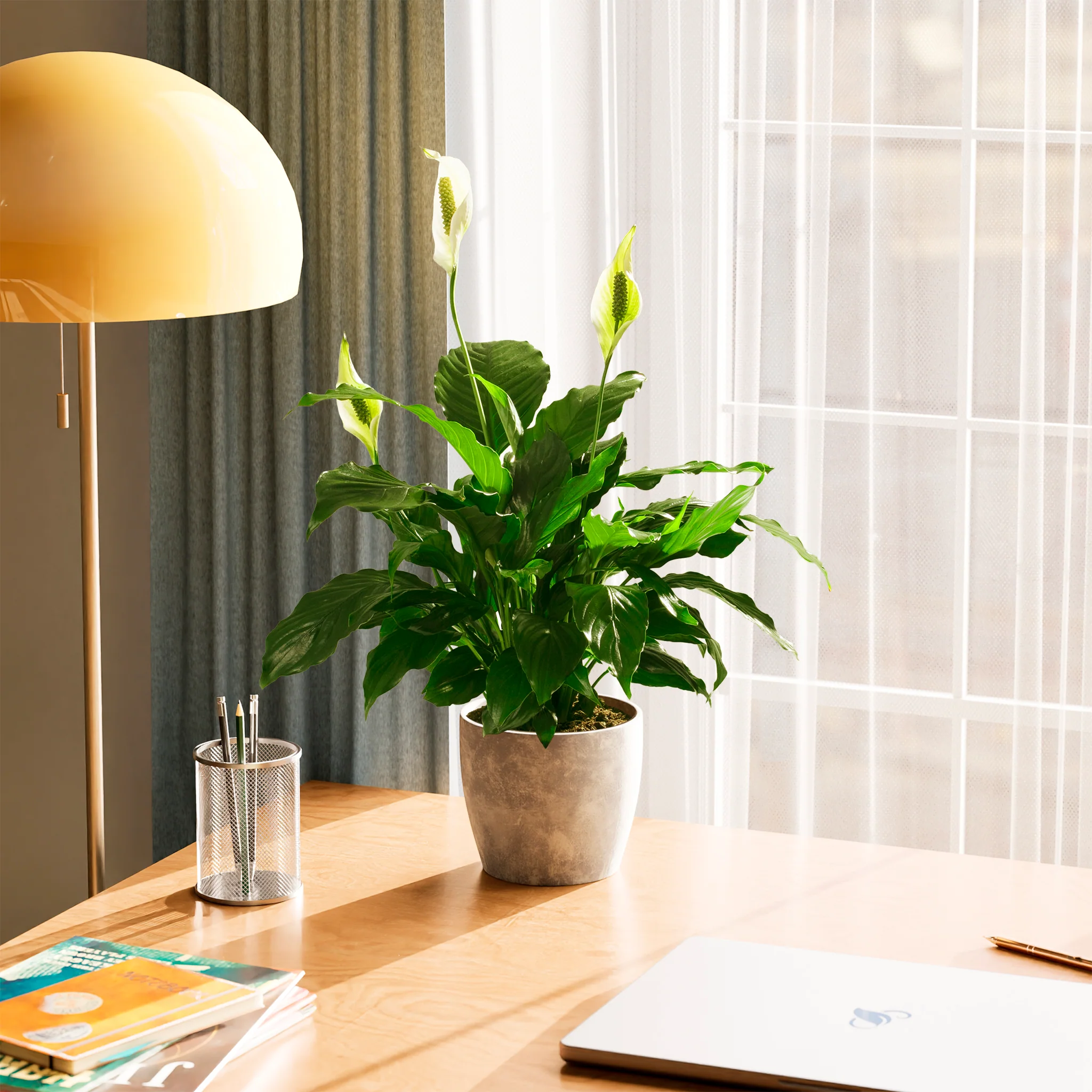 Product image 70