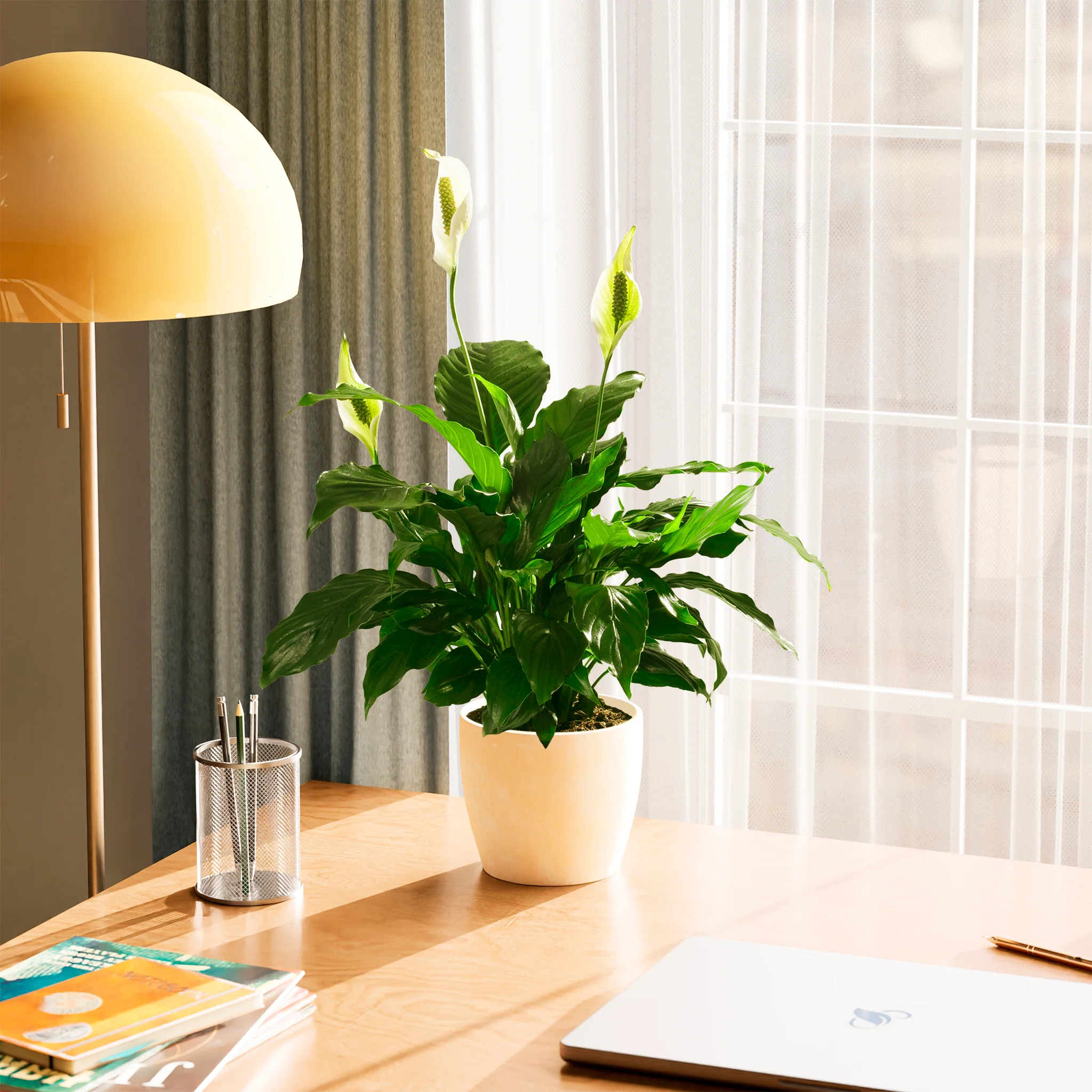 Product image 73