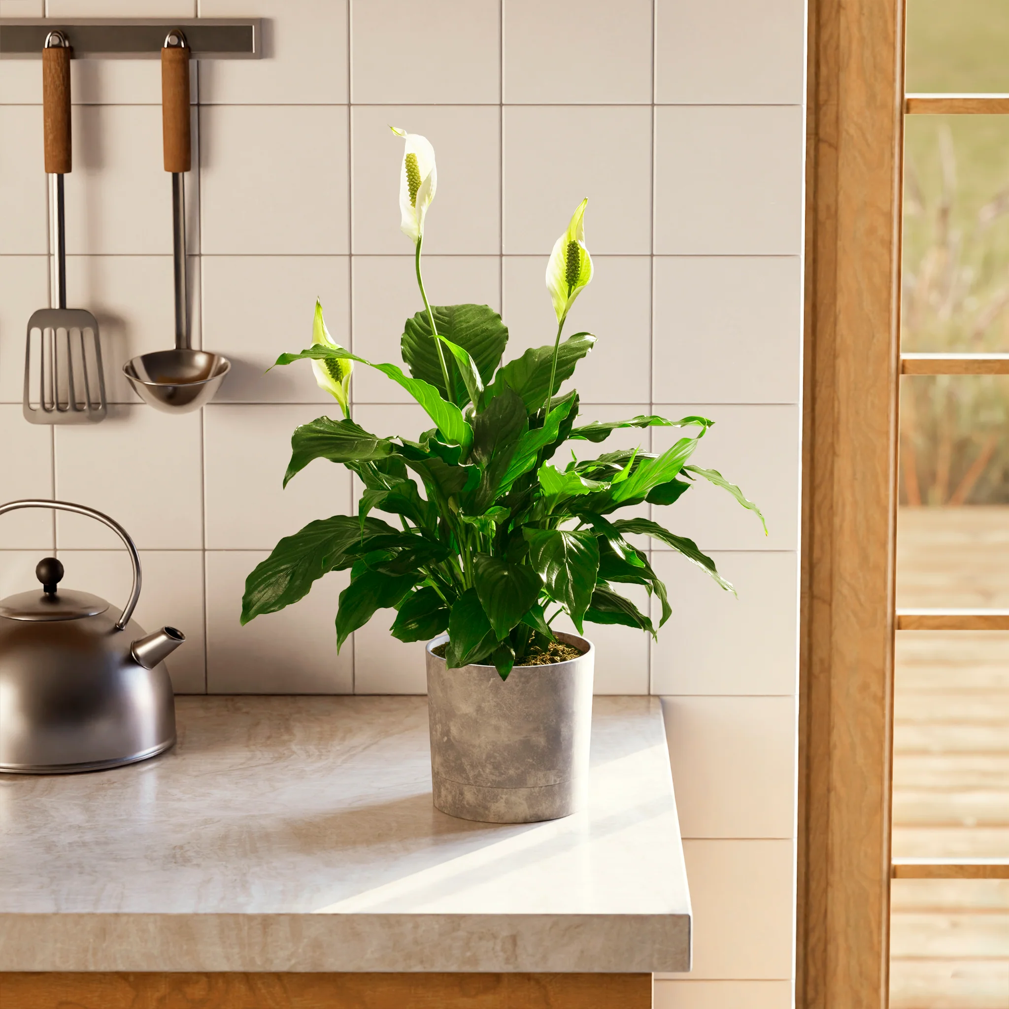 Product image 75