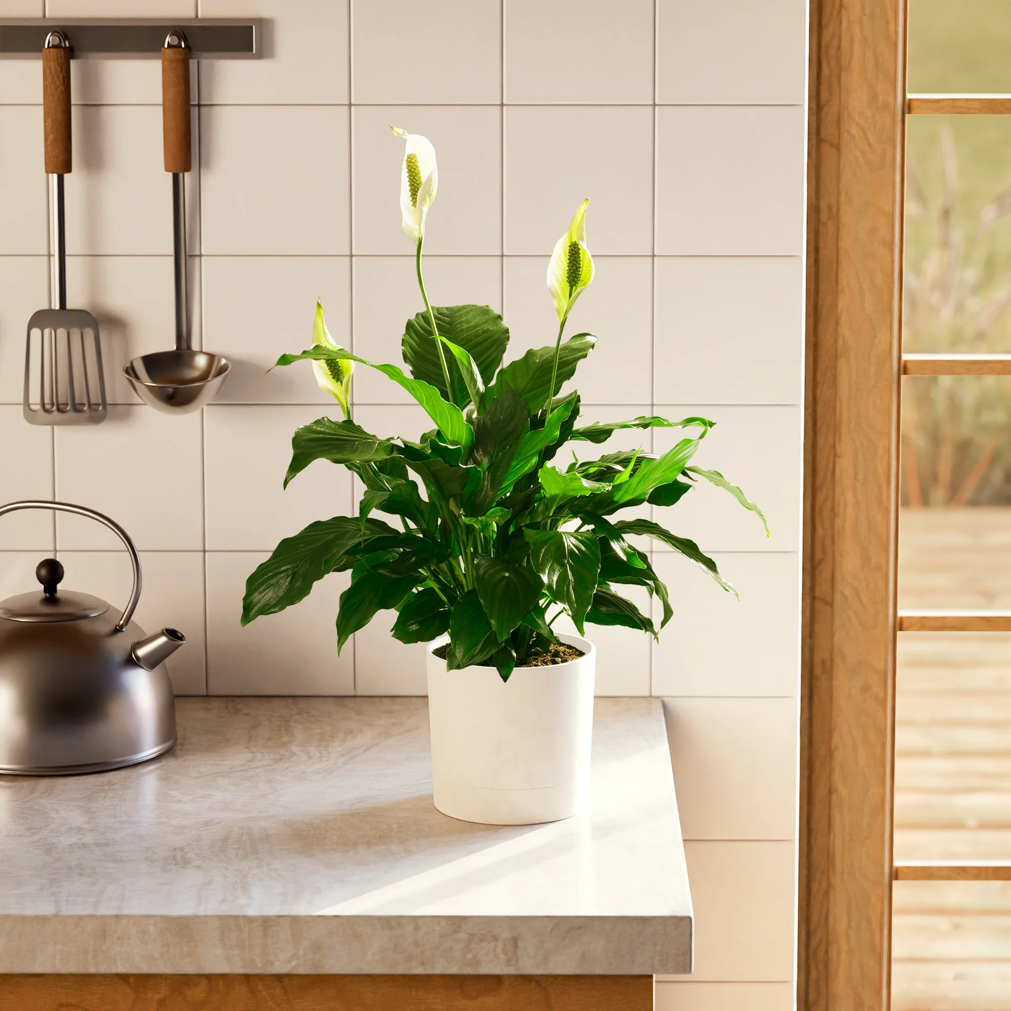 Product image 77