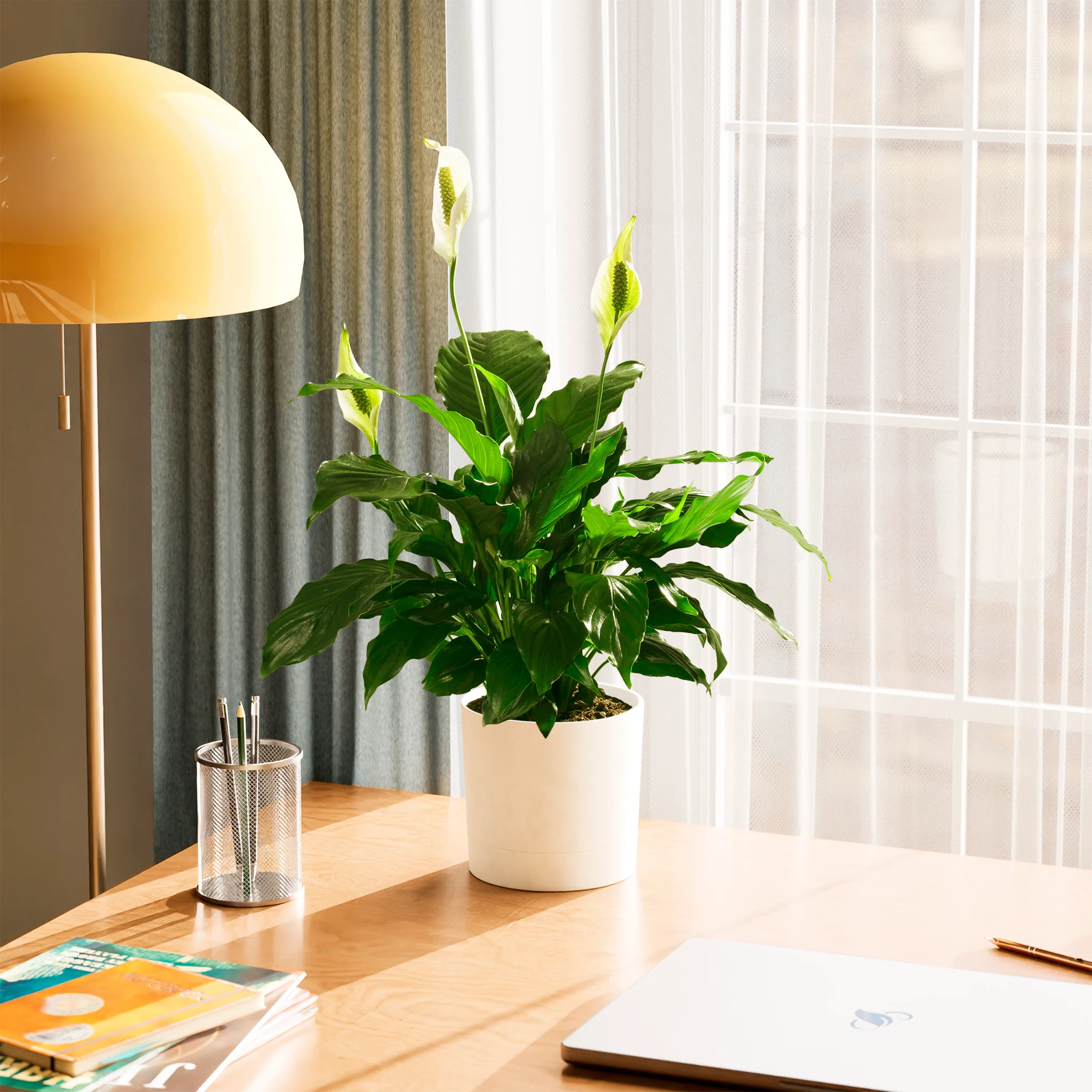 Product image 78