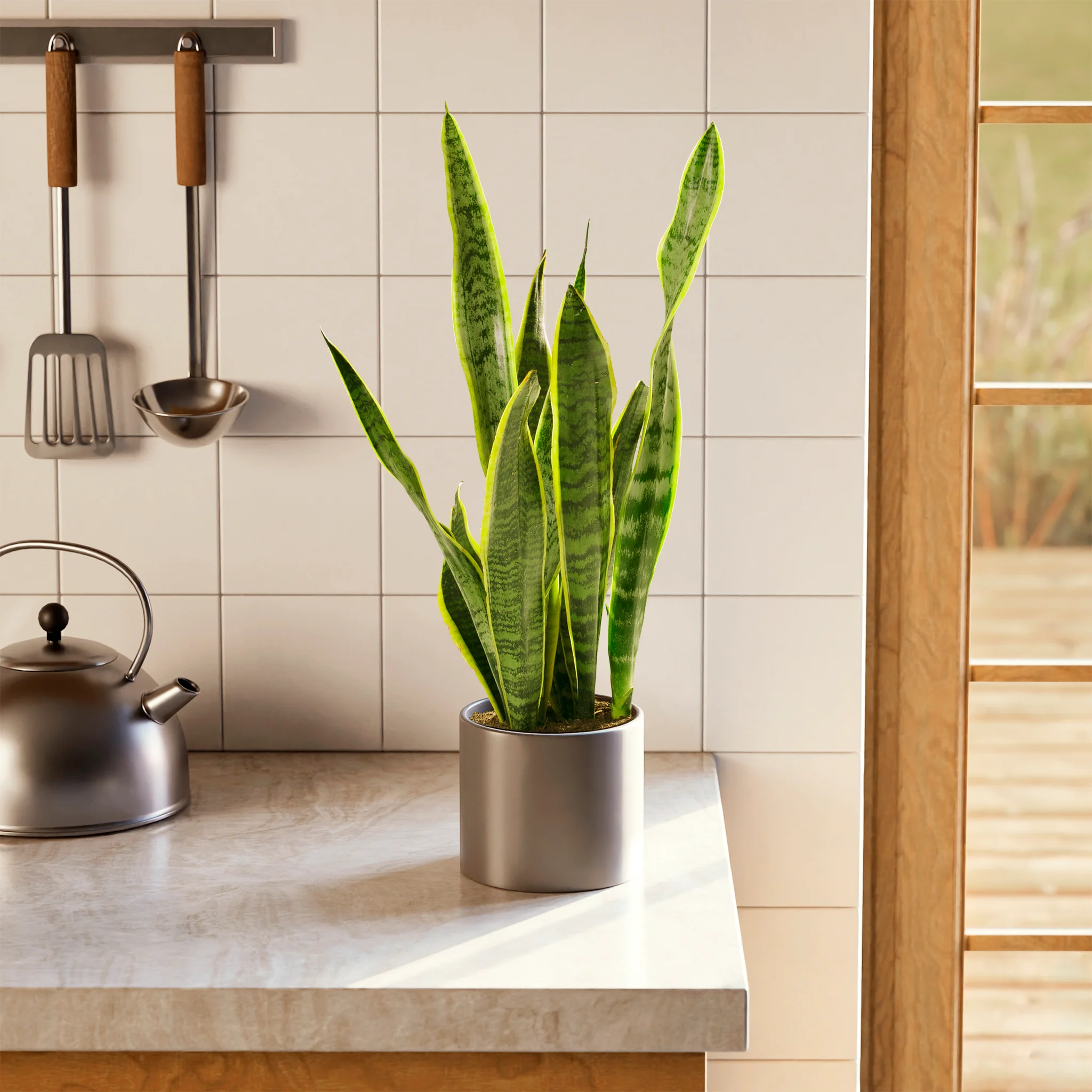 Product image 51