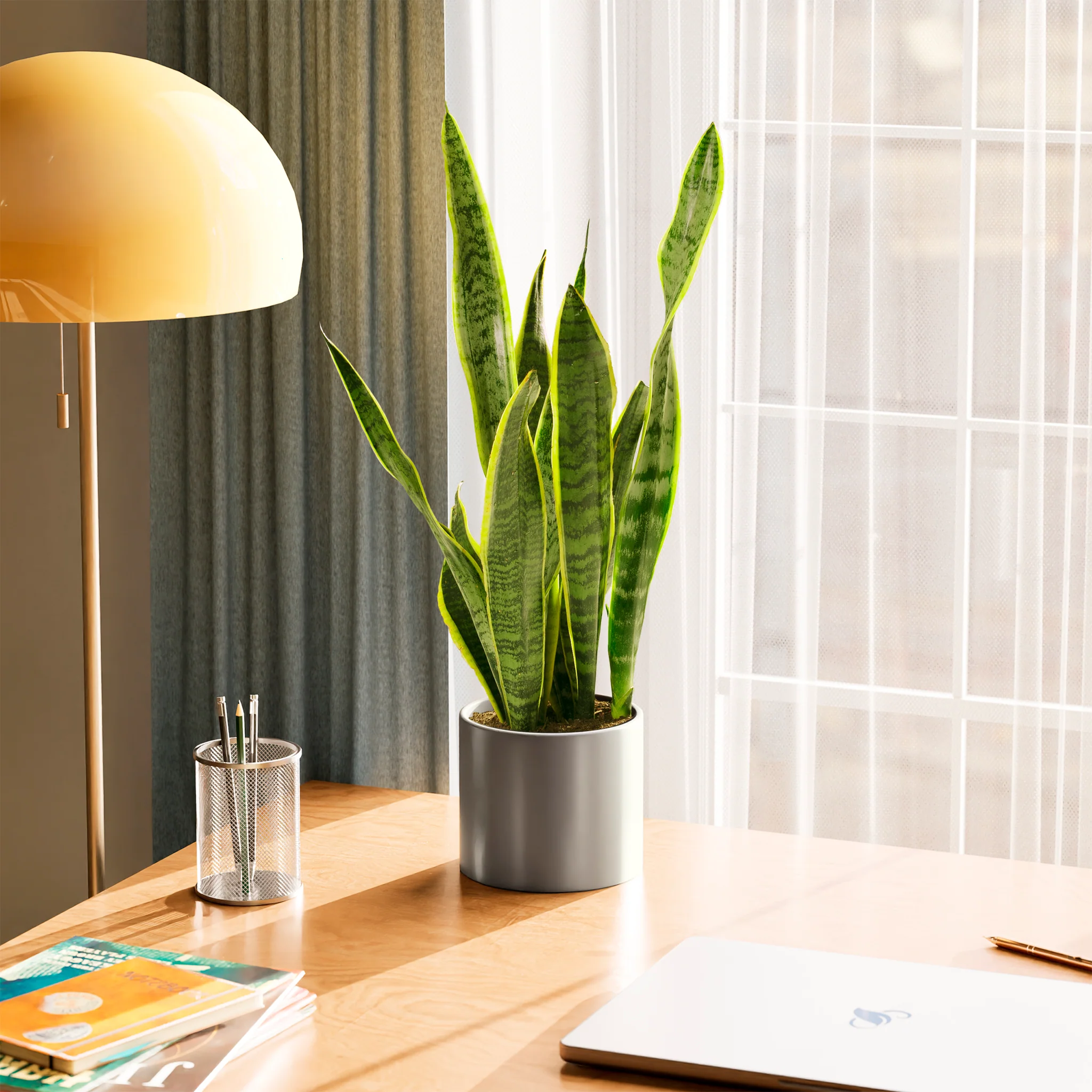 Product image 52