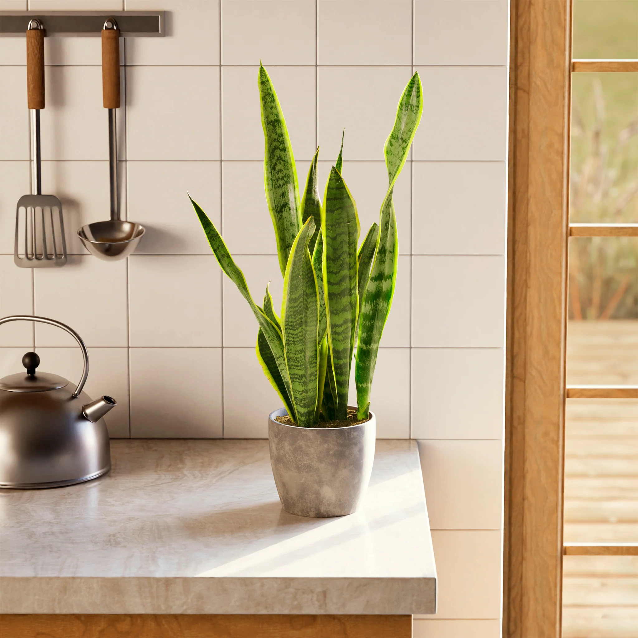 Product image 64