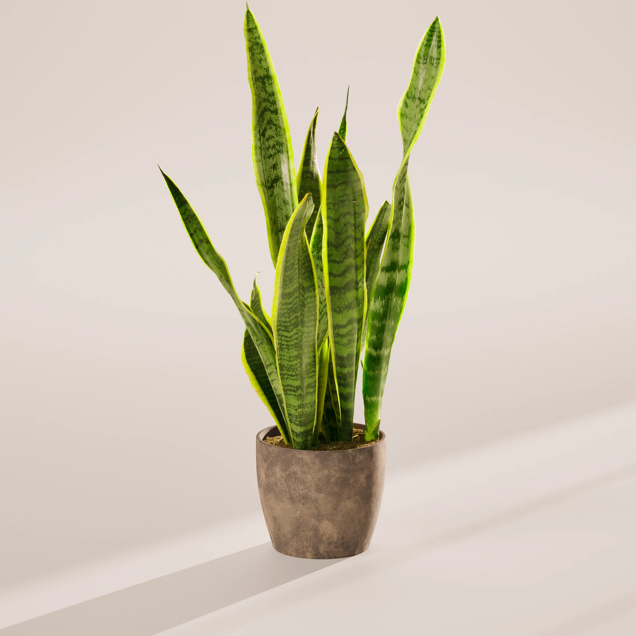Product image 66