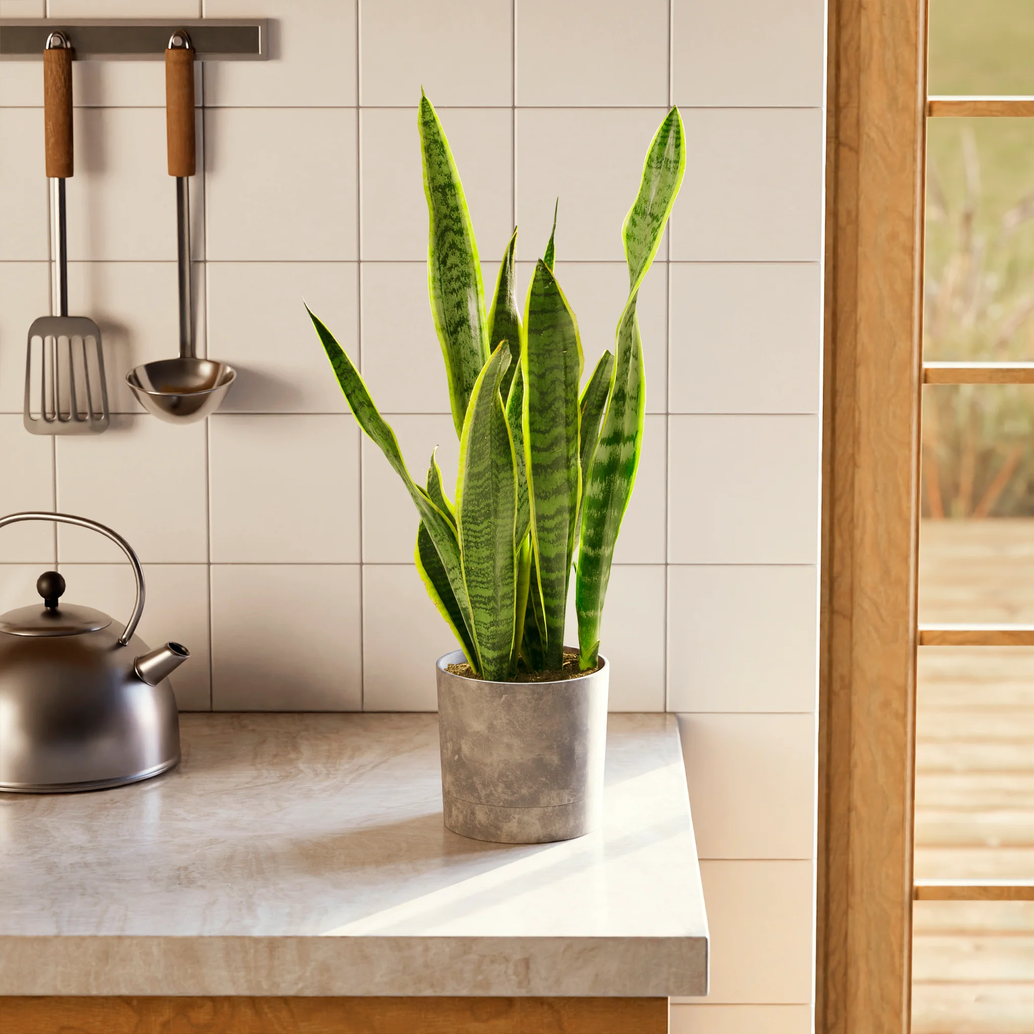 Product image 70