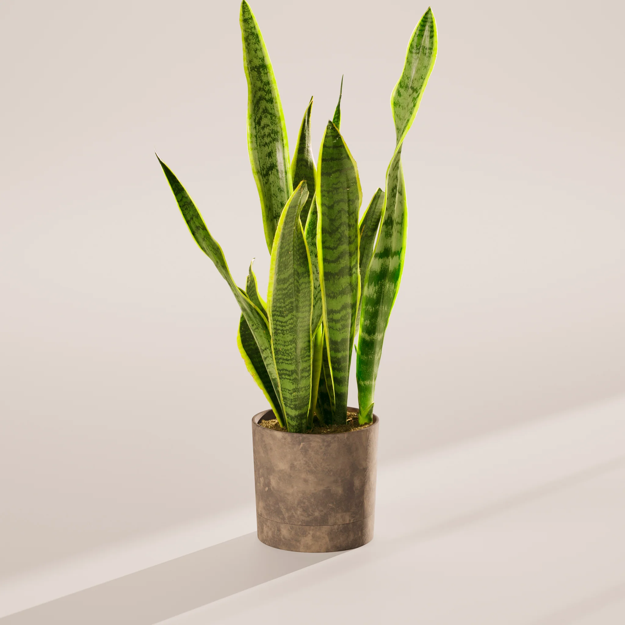Product image 72