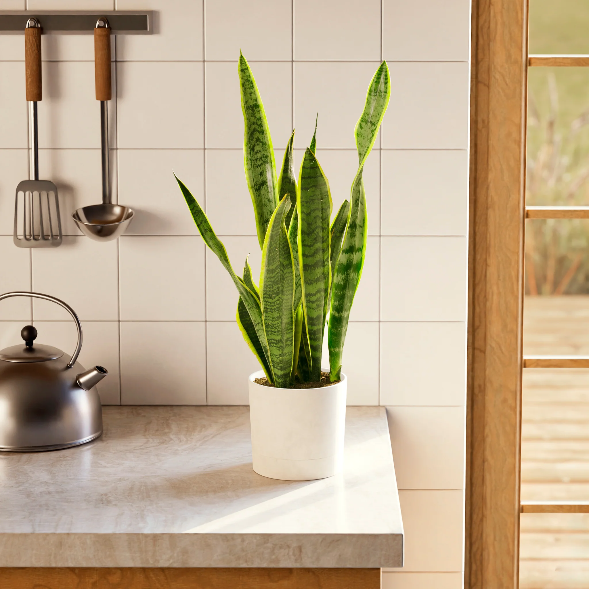 Product image 73