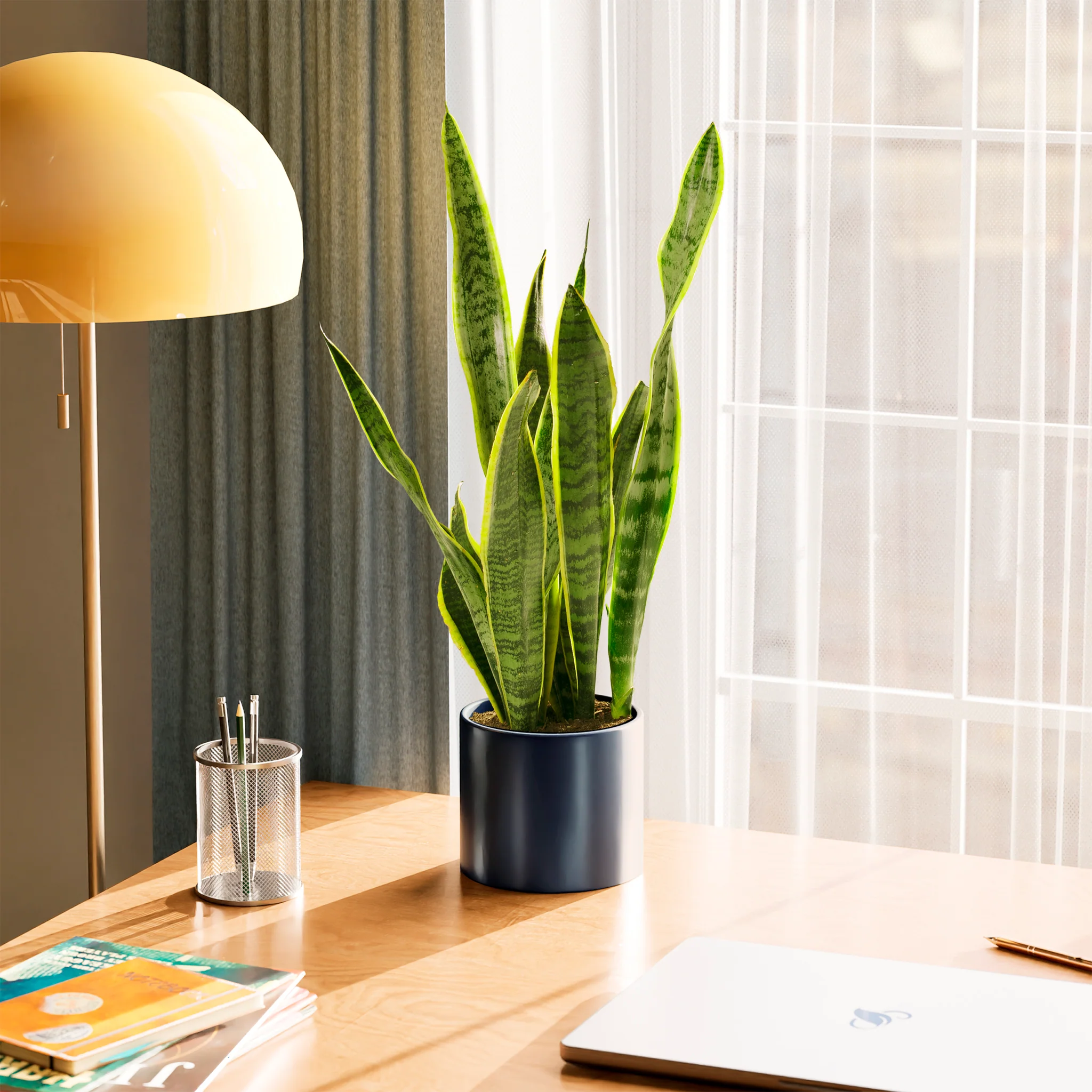 Product image 77