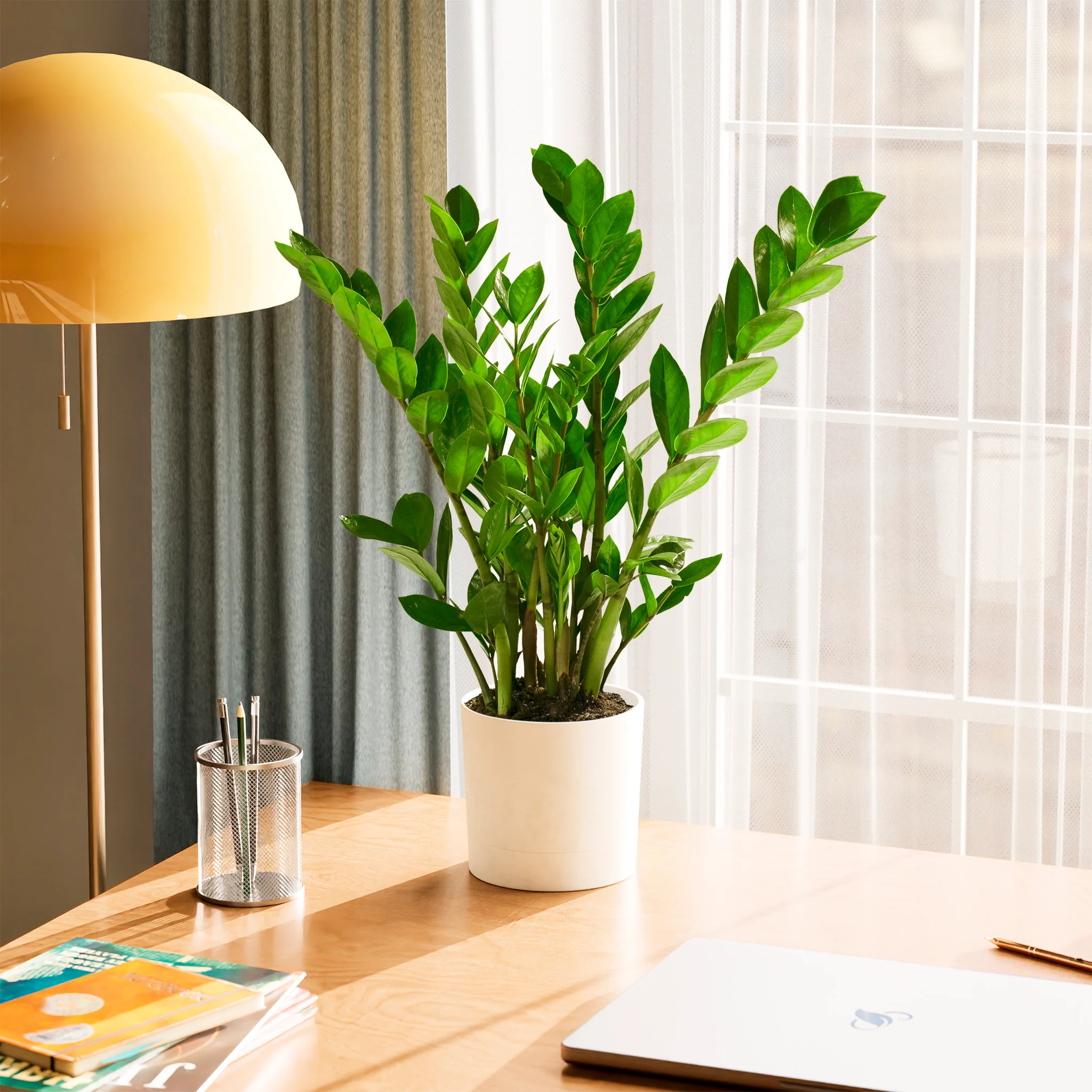 Product image 53