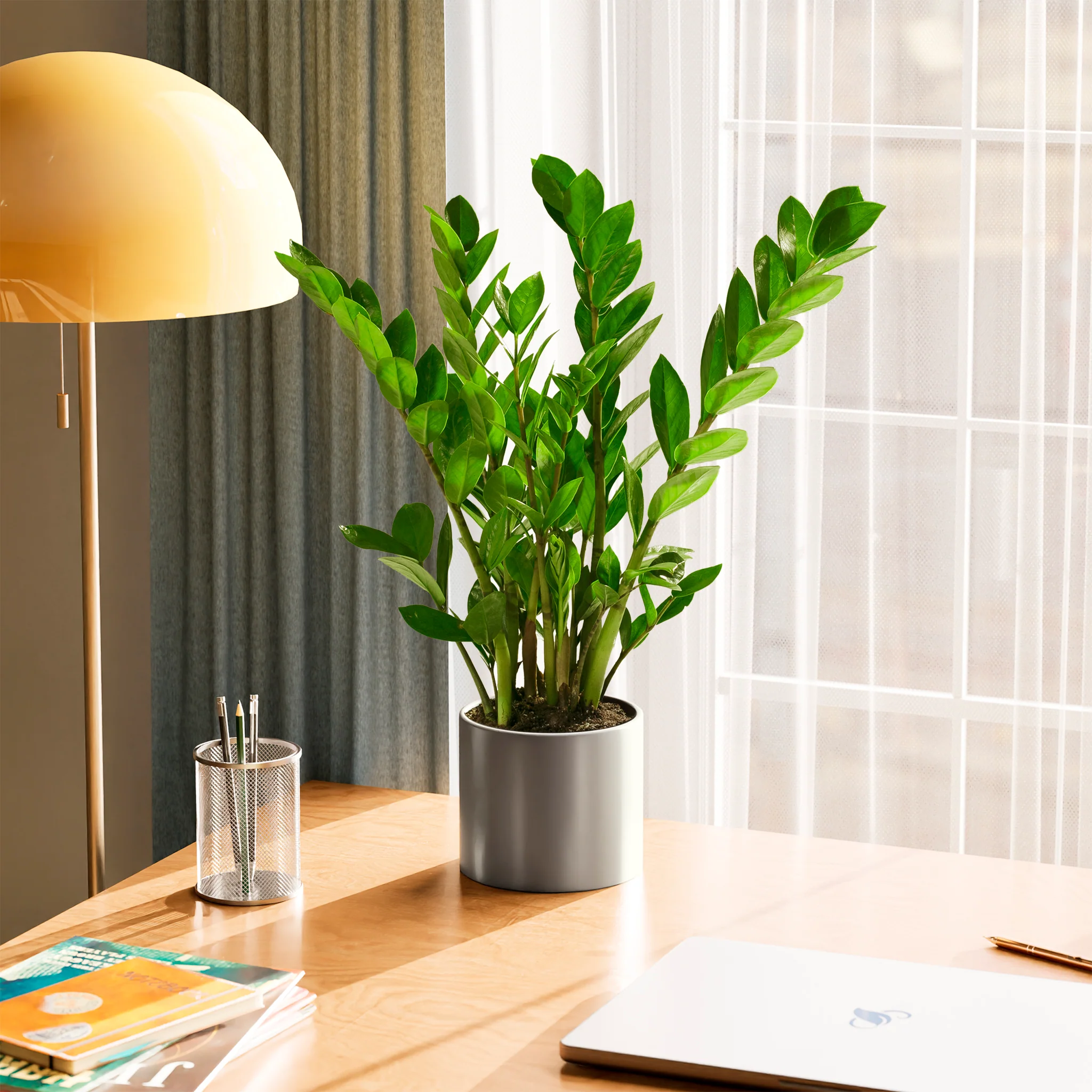 Product image 57