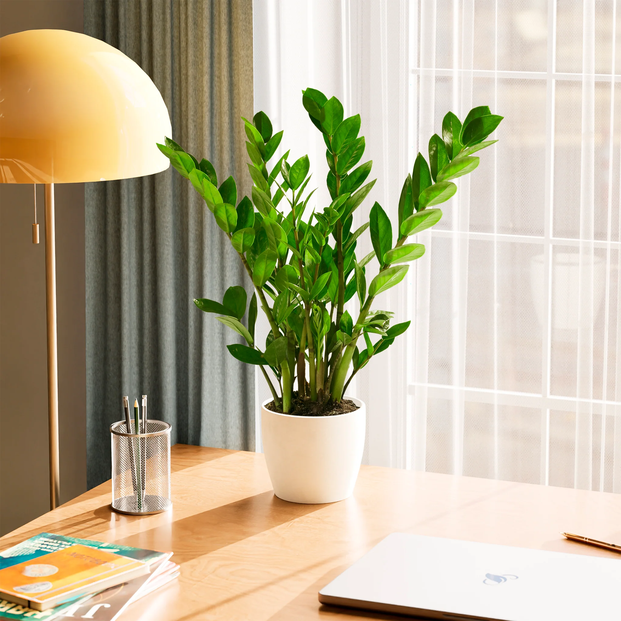 Product image 59
