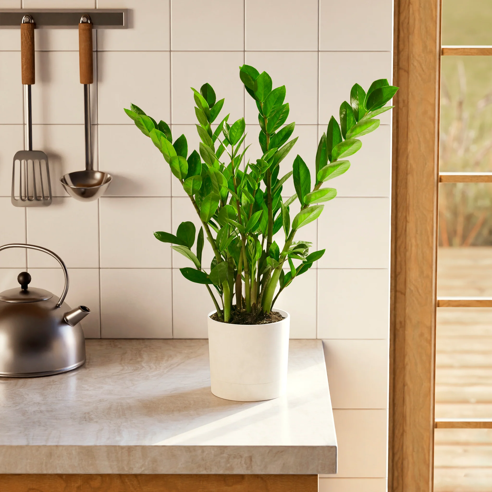 Product image 63