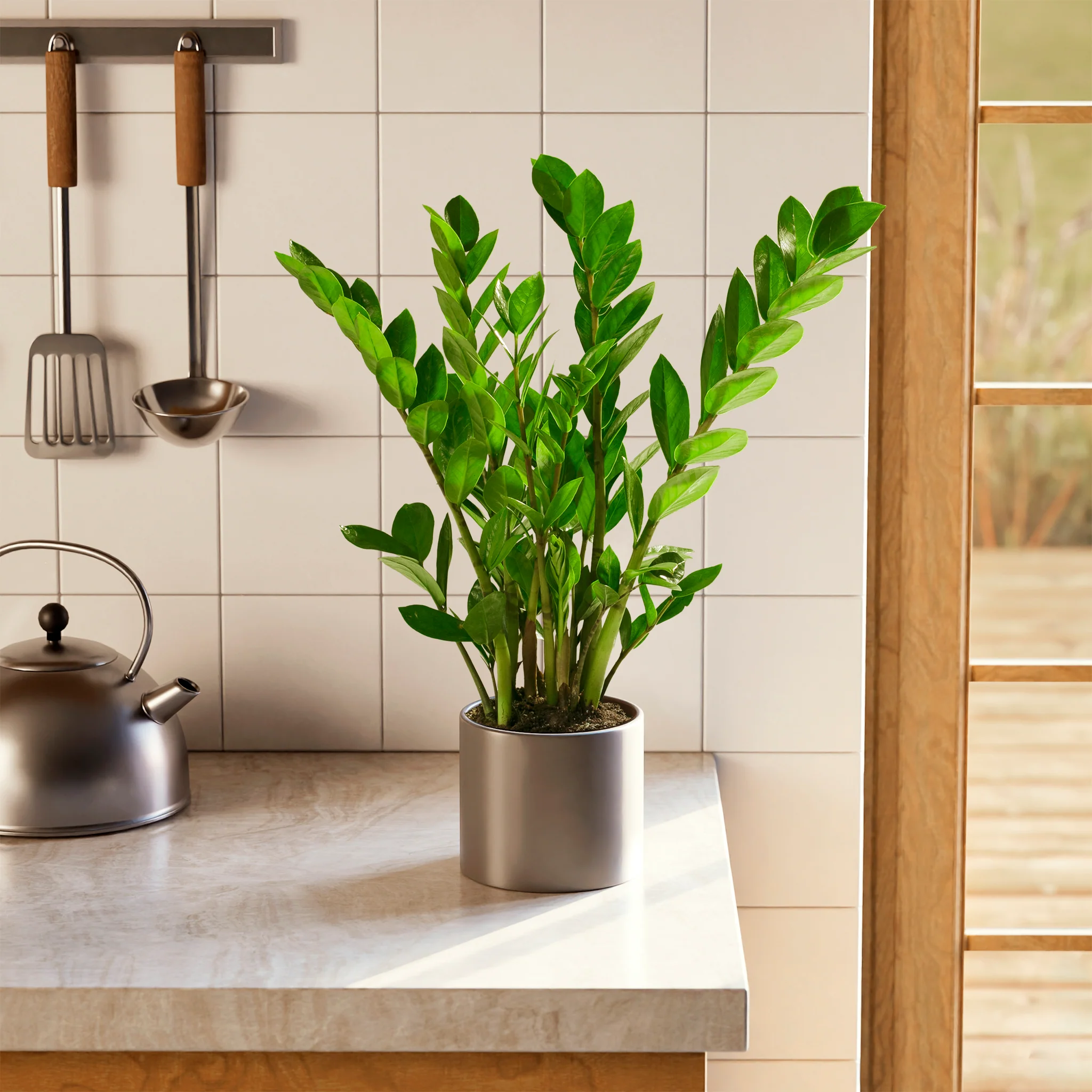 Product image 64